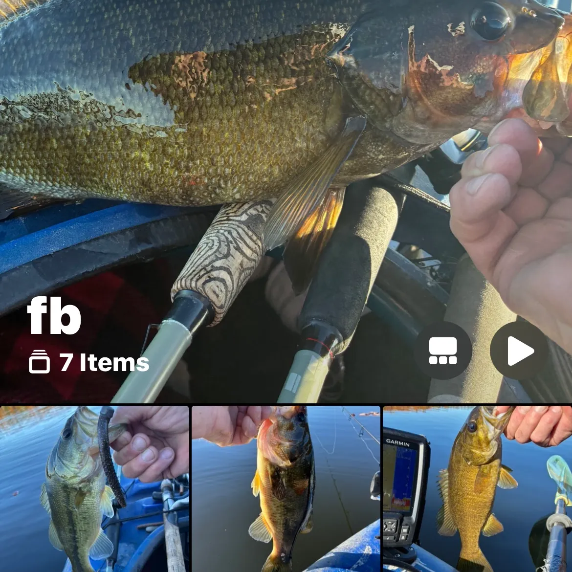 Smallmouth bass caught on Fishbrain