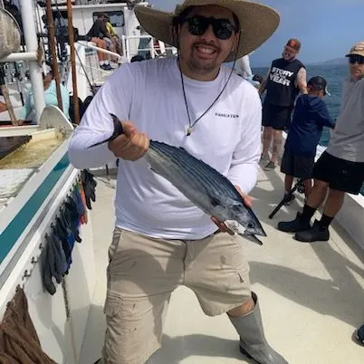 Pacific bonito caught on Fishbrain