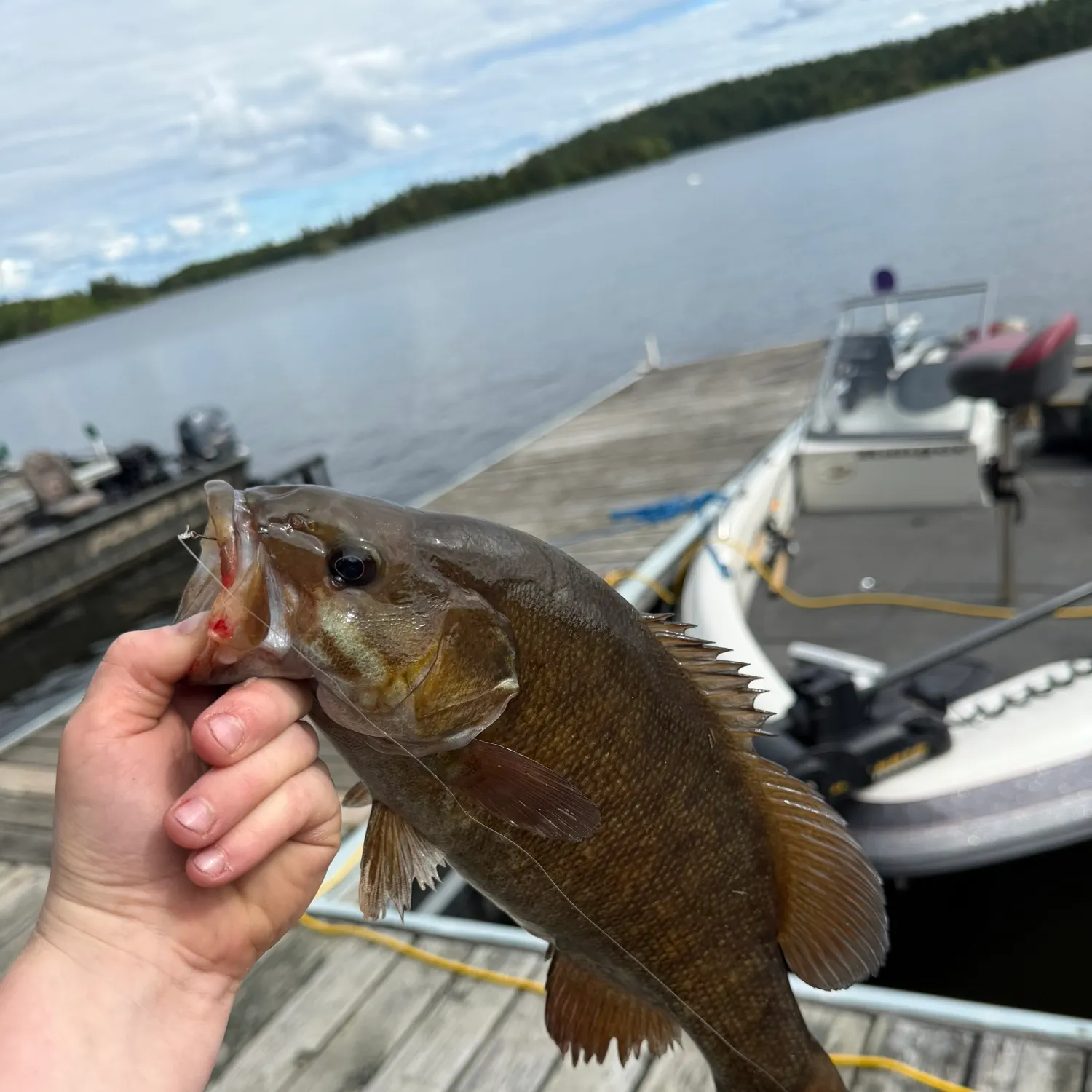 catch