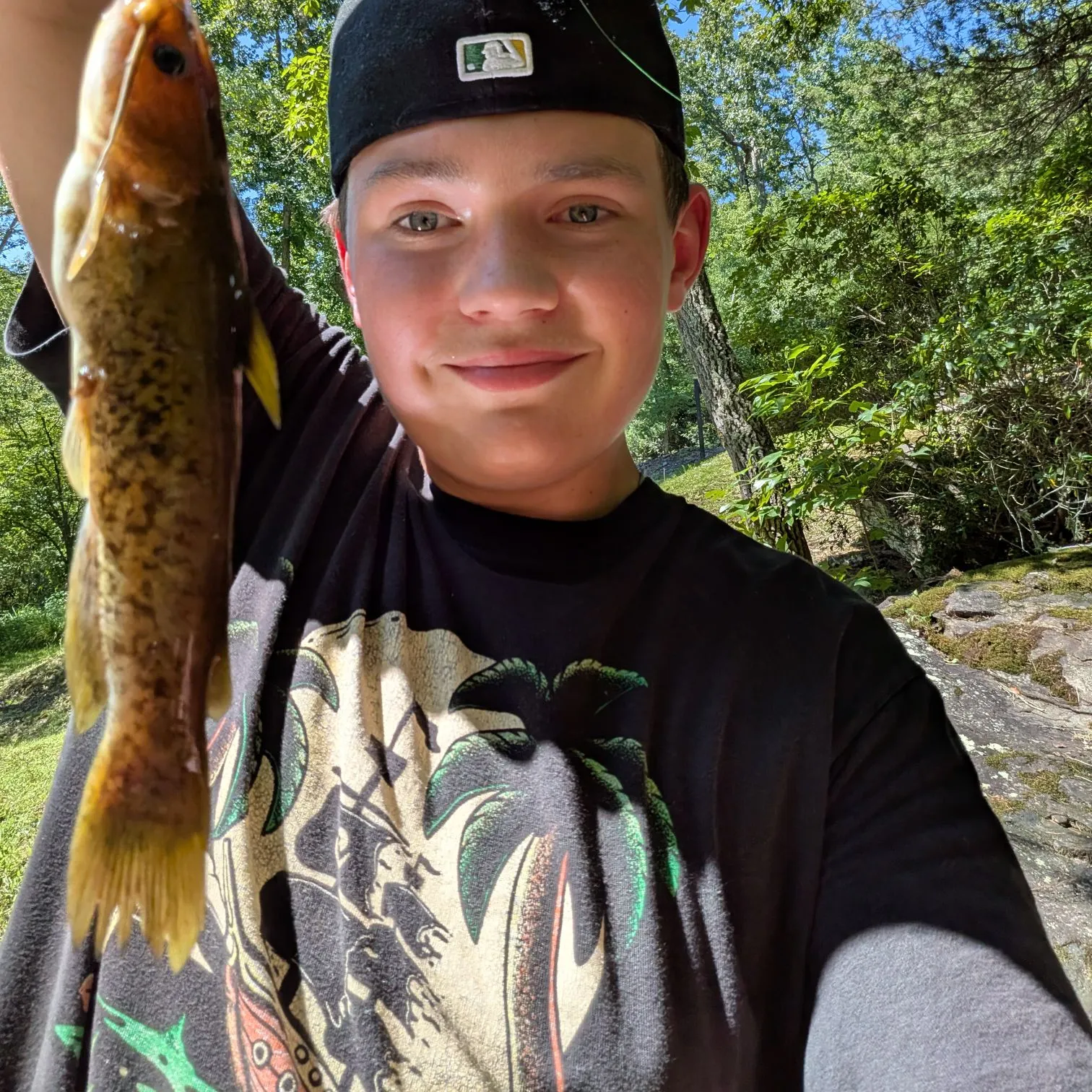 The most recent Flat bullhead catches on Fishbrain