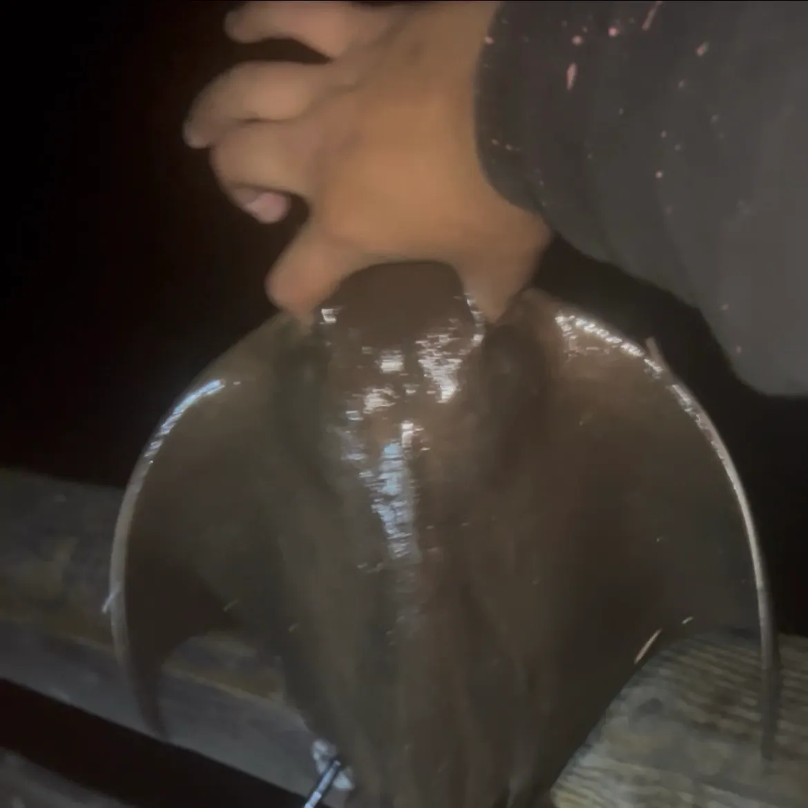 The most recent Bat eagle ray catches on Fishbrain