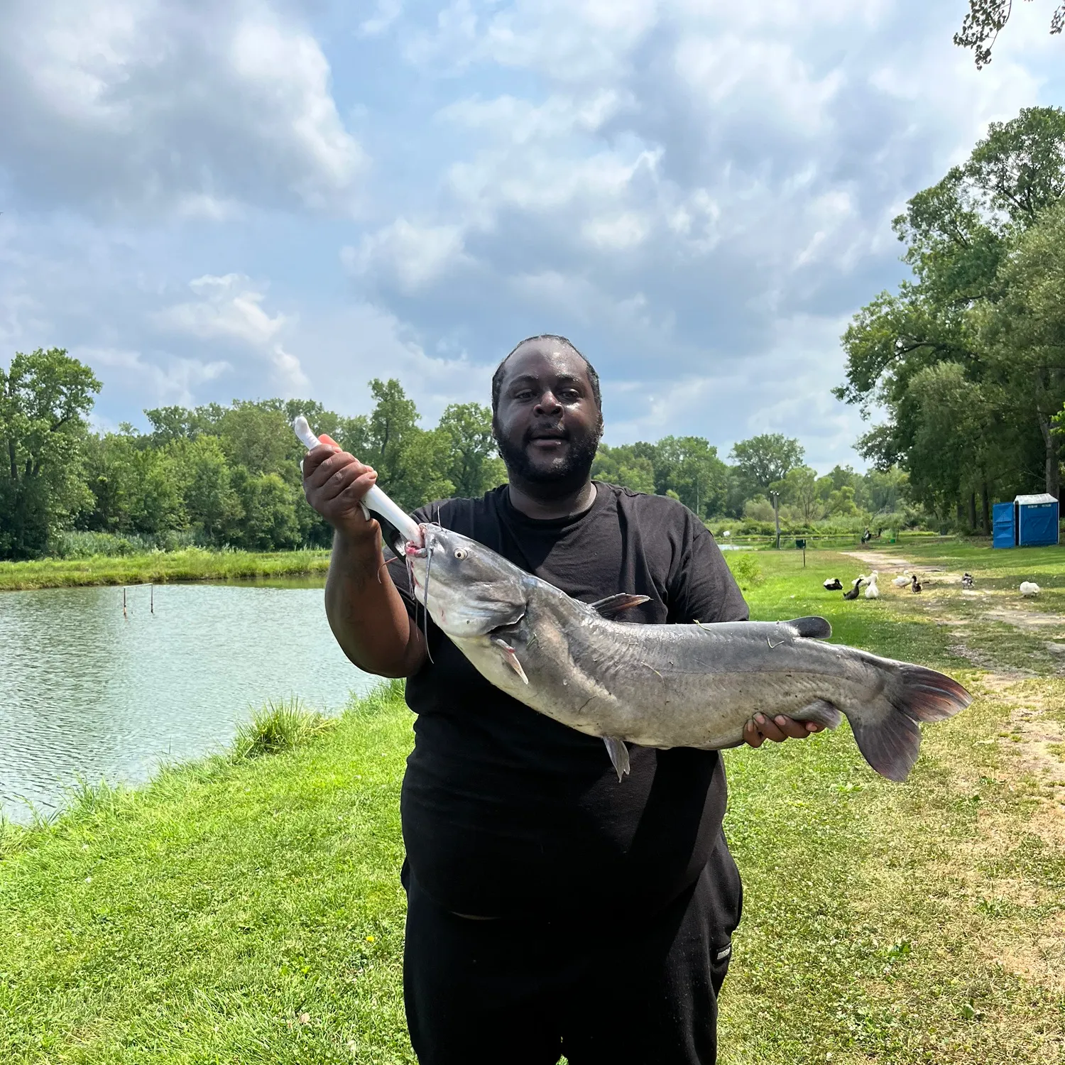 Channel catfish caught on Fishbrain