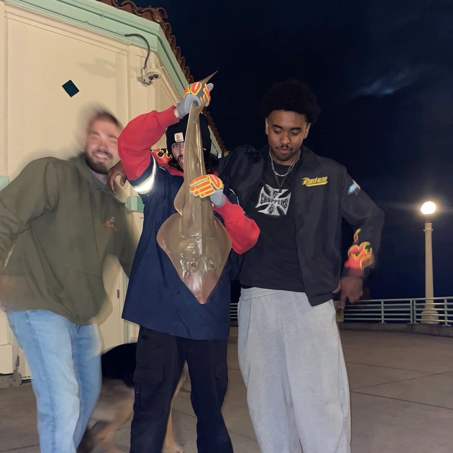 Pacific shovelnose guitarfish caught on Fishbrain