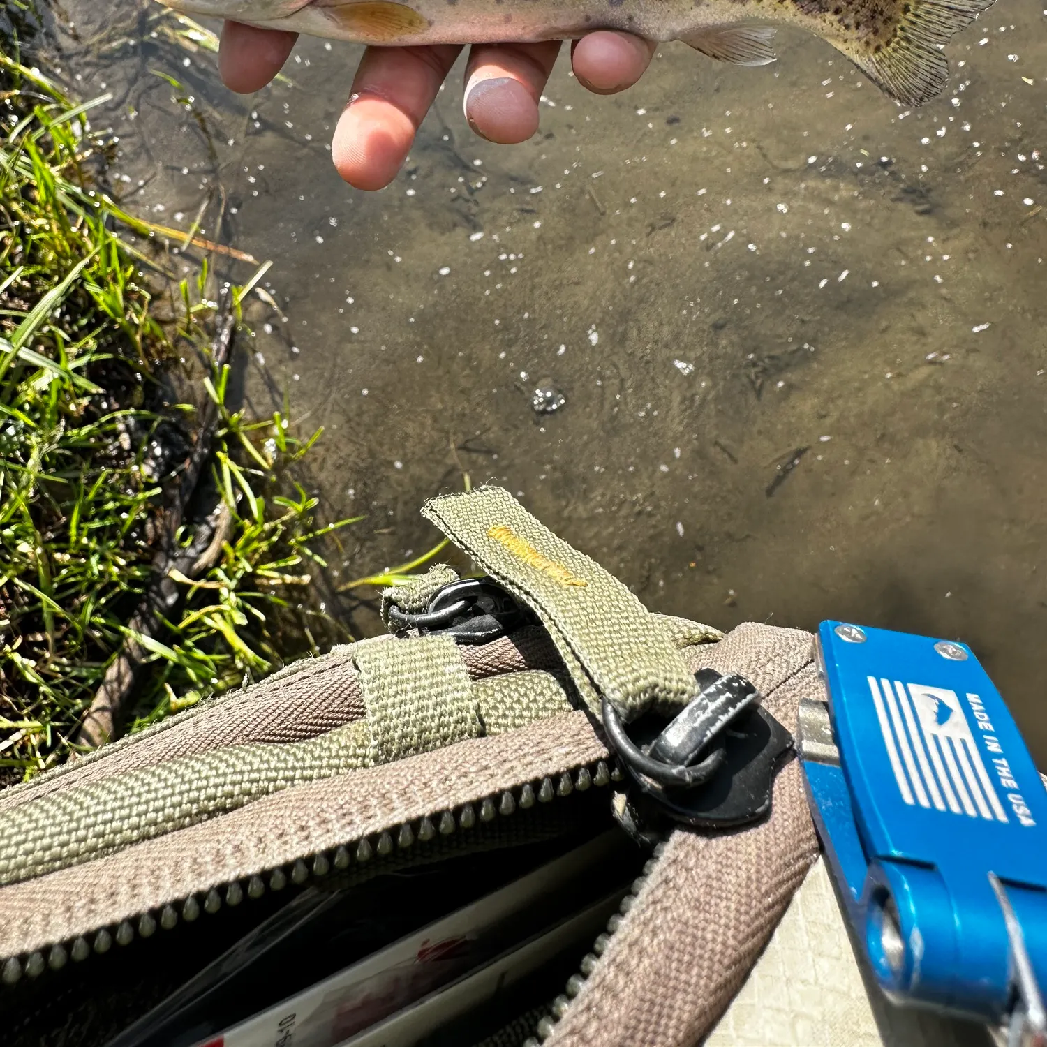 angler catch