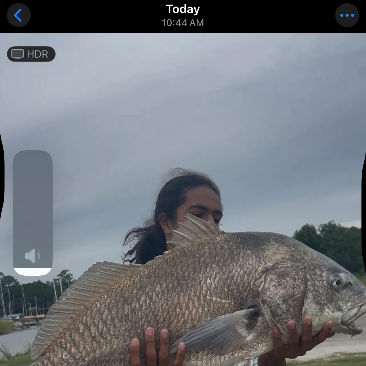 The most recent Black drum catches on Fishbrain