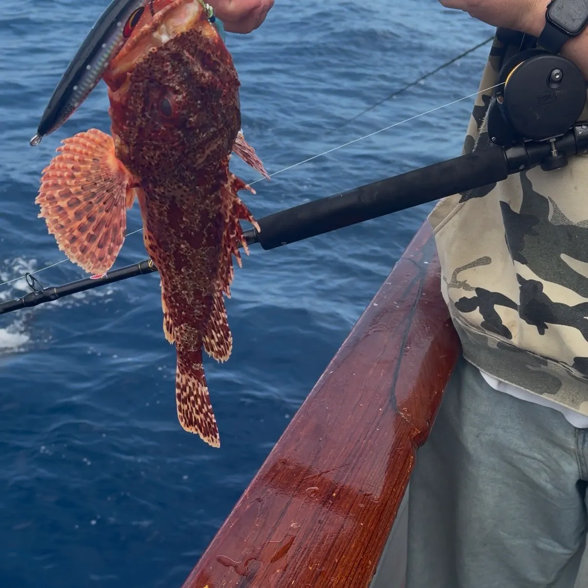recently logged catches