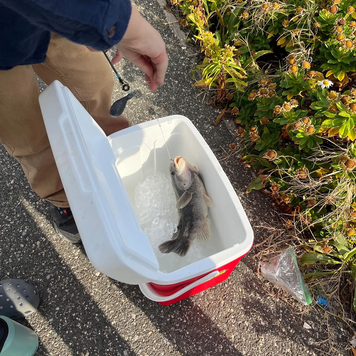 catch