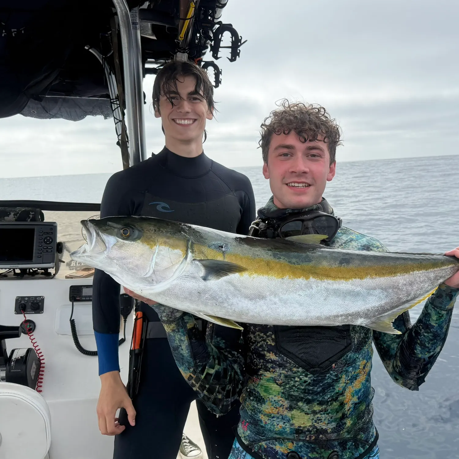 California yellowtail amberjack caught on Fishbrain