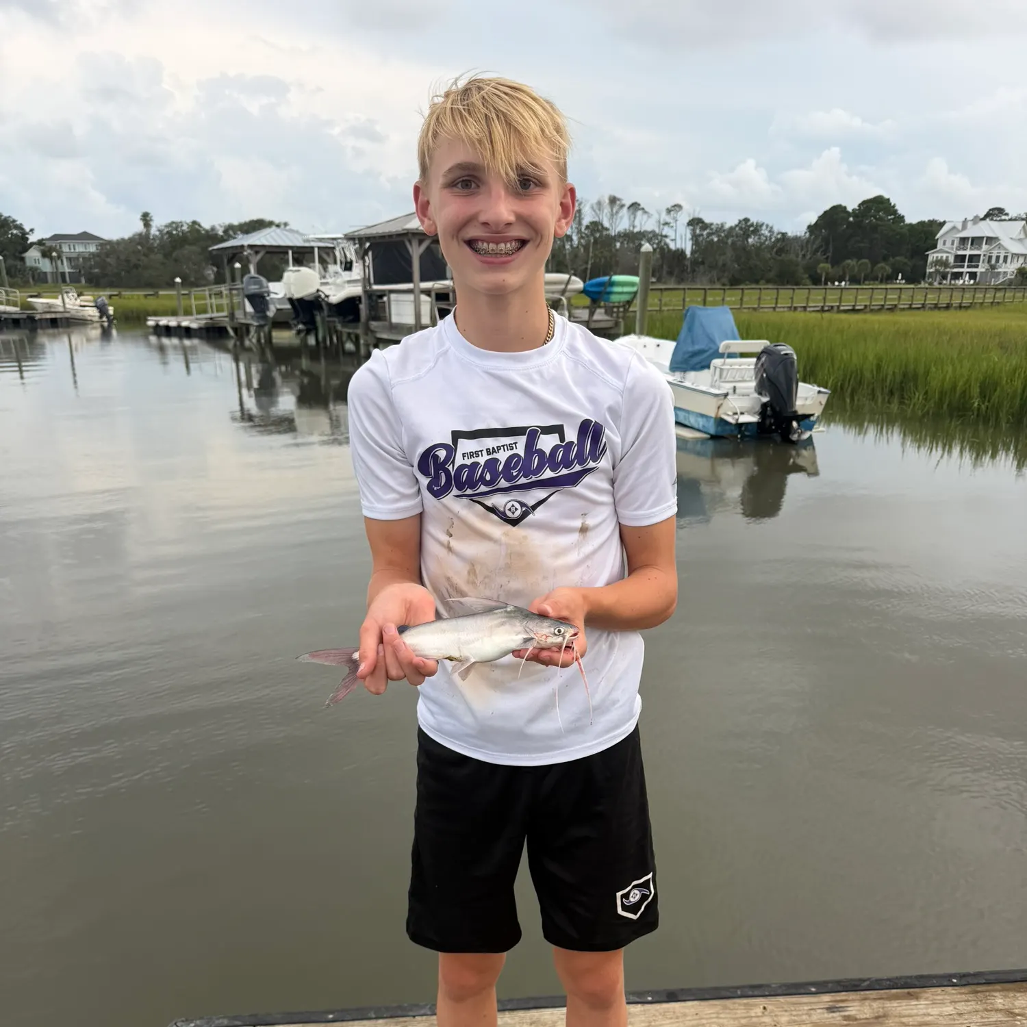 Gafftopsail sea catfish caught on Fishbrain