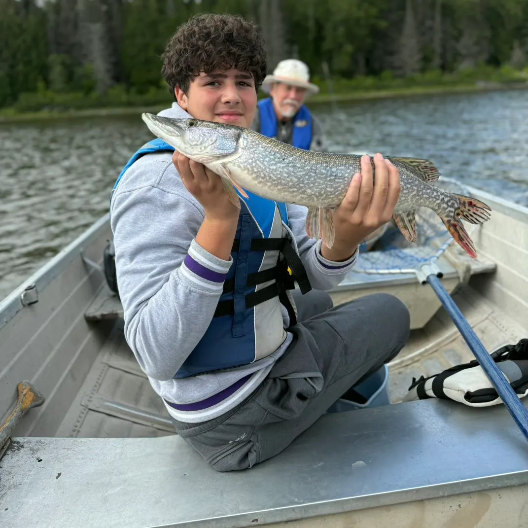 Fish caught on Fishbrain