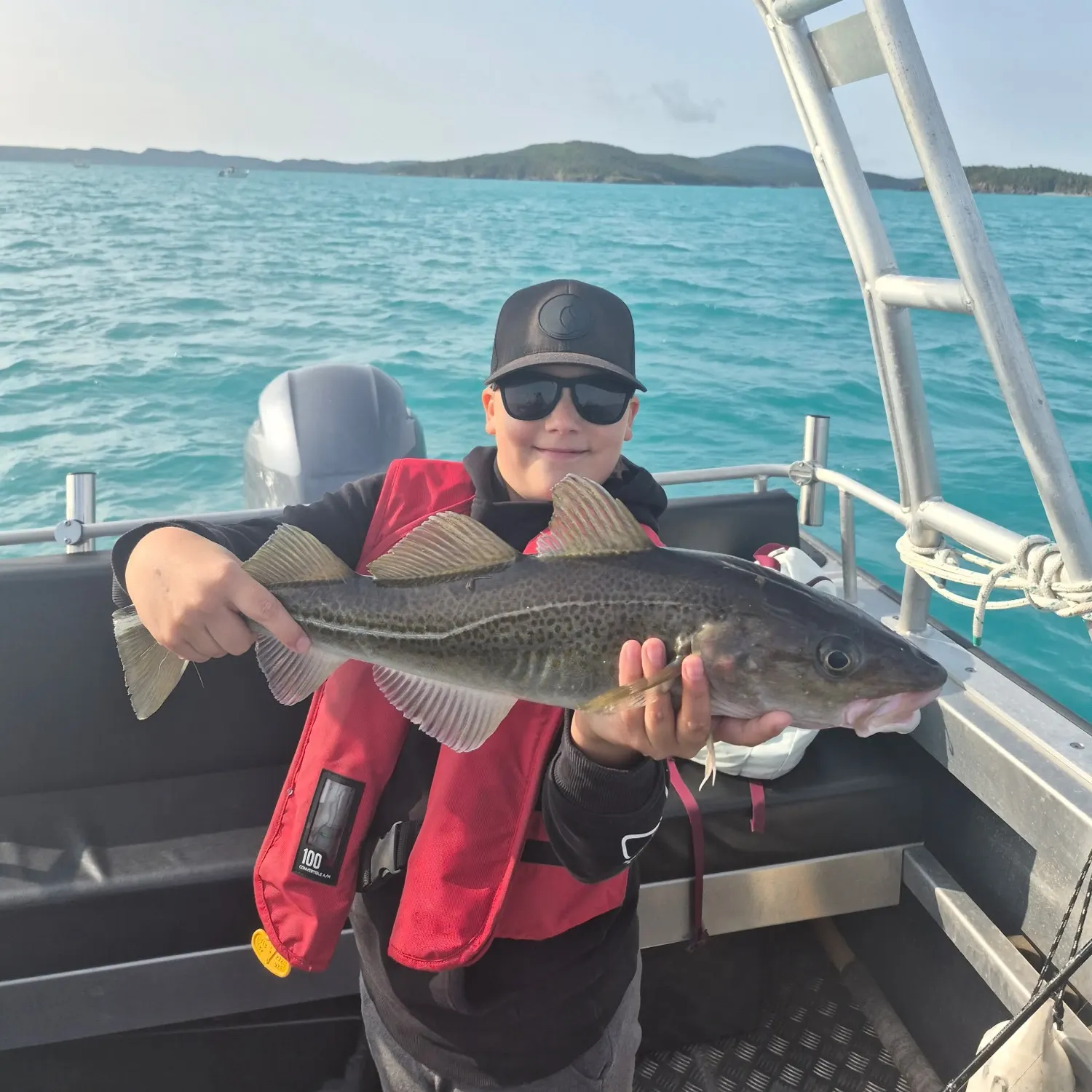 Atlantic cod caught on Fishbrain