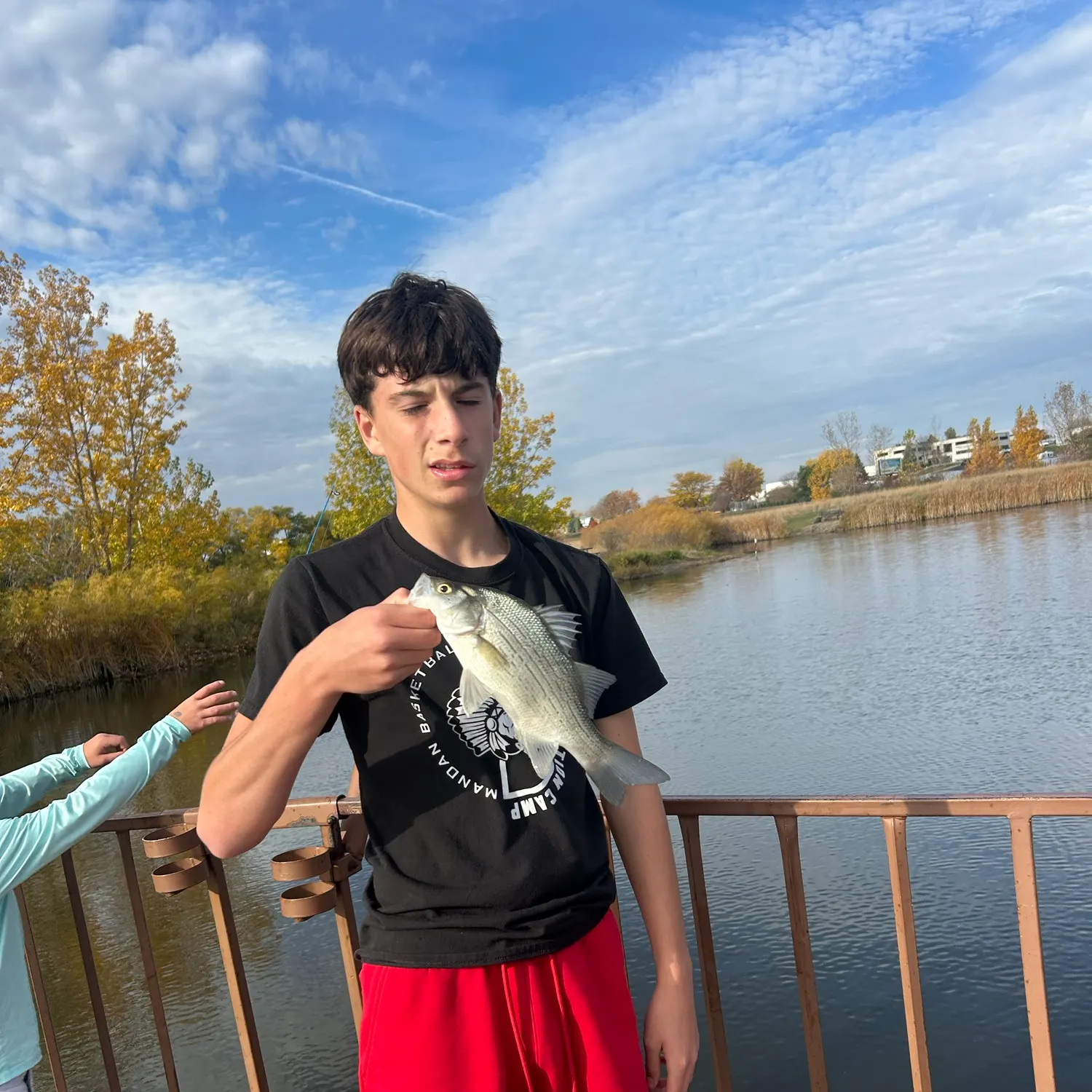 White bass caught on Fishbrain