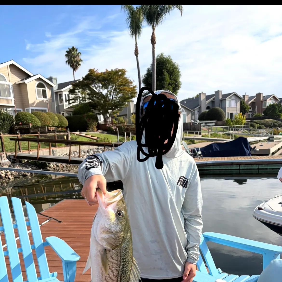 Striped bass caught on Fishbrain