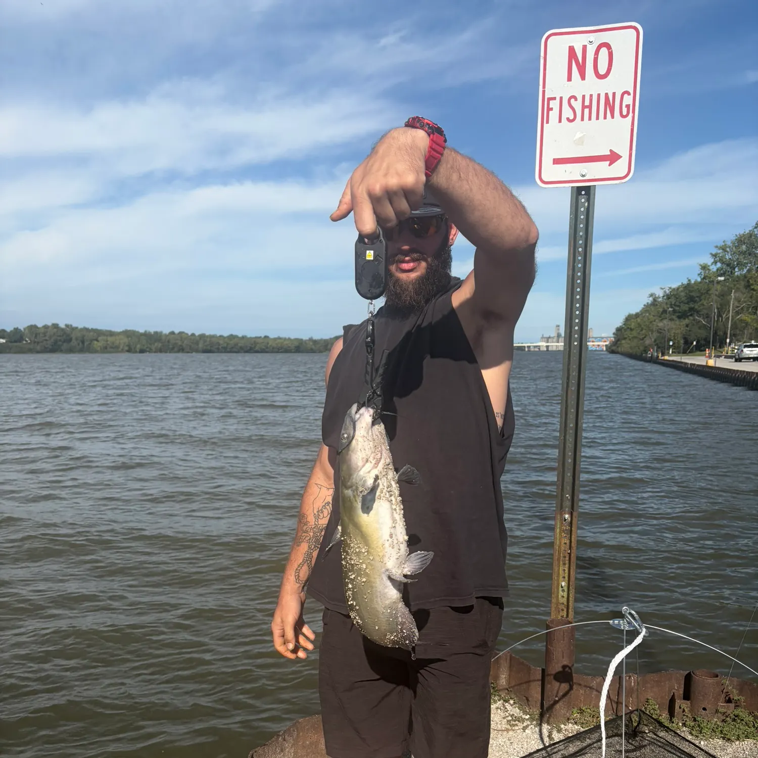 Channel catfish caught on Fishbrain