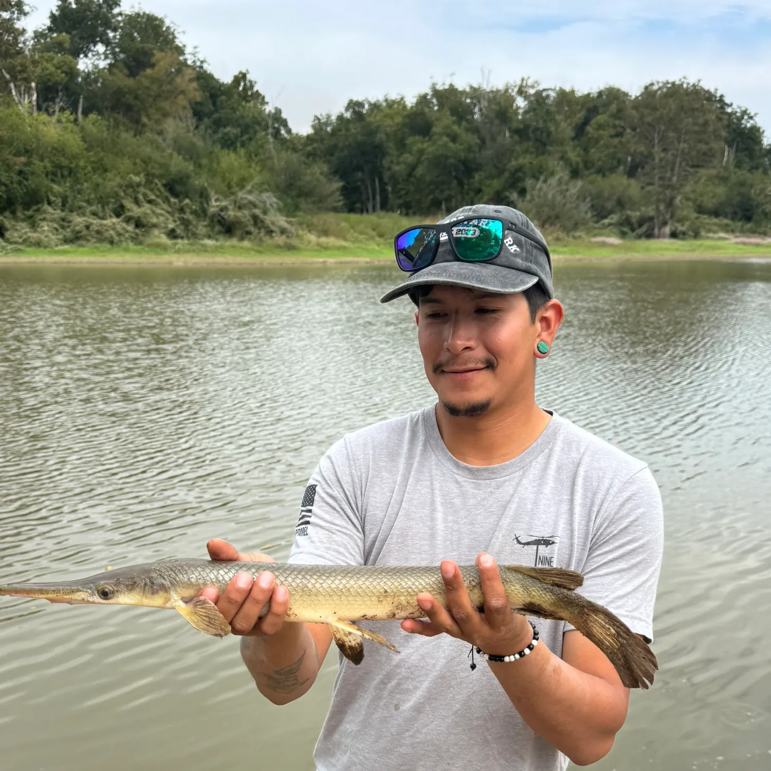 Shortnose gar caught on Fishbrain