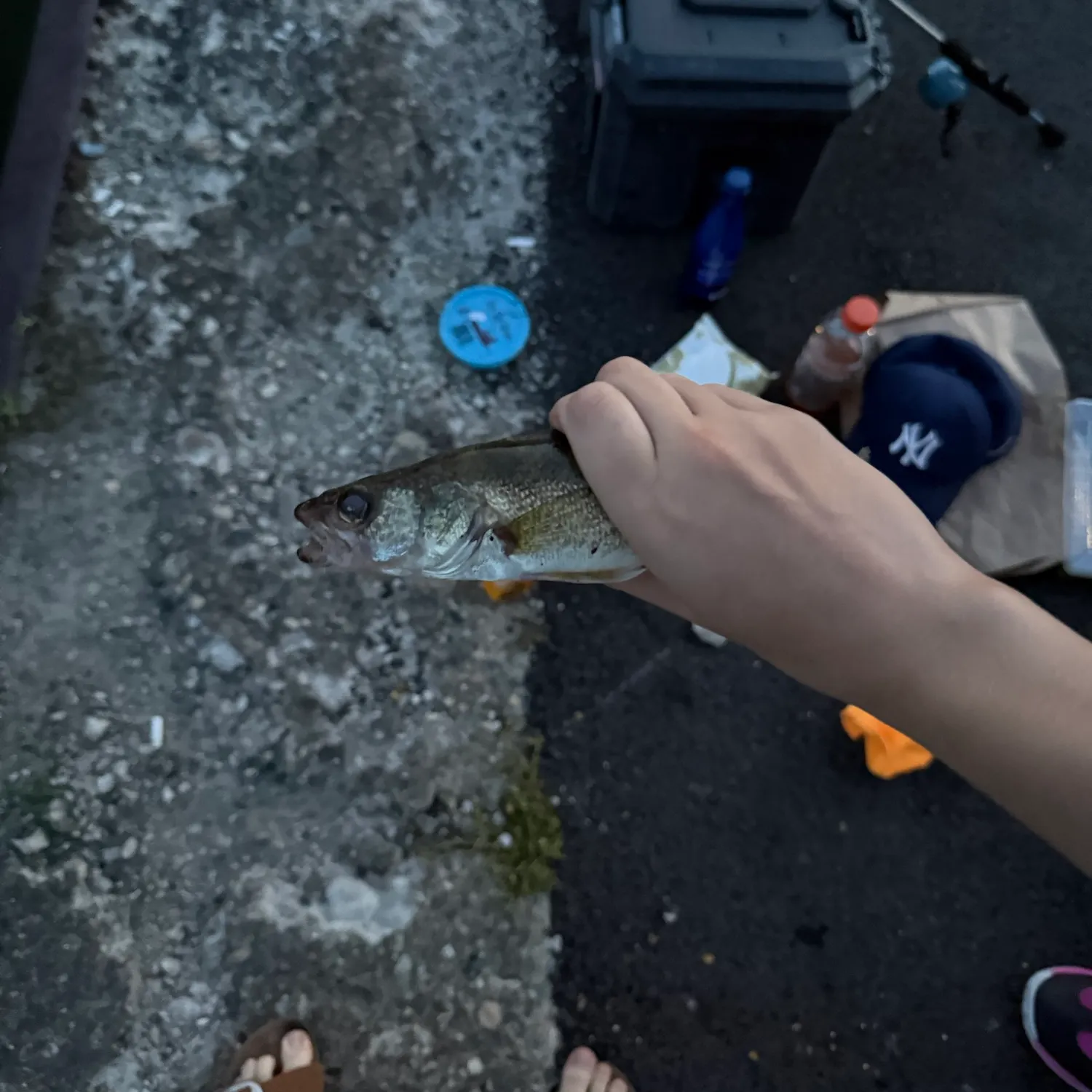 catch