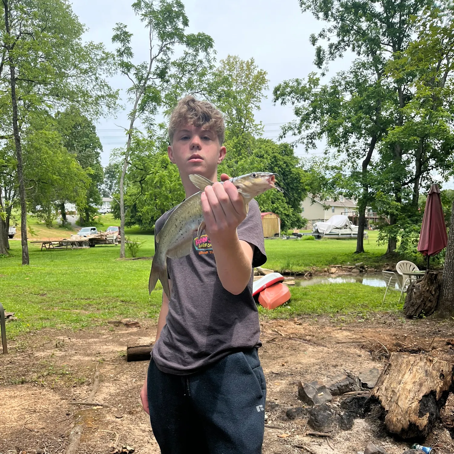 Blue catfish caught on Fishbrain