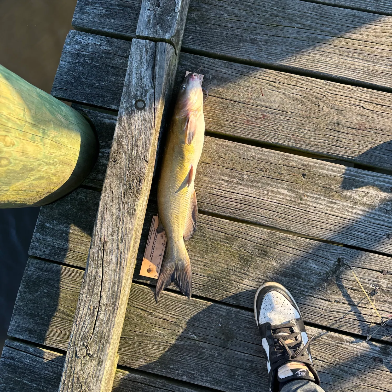 catch