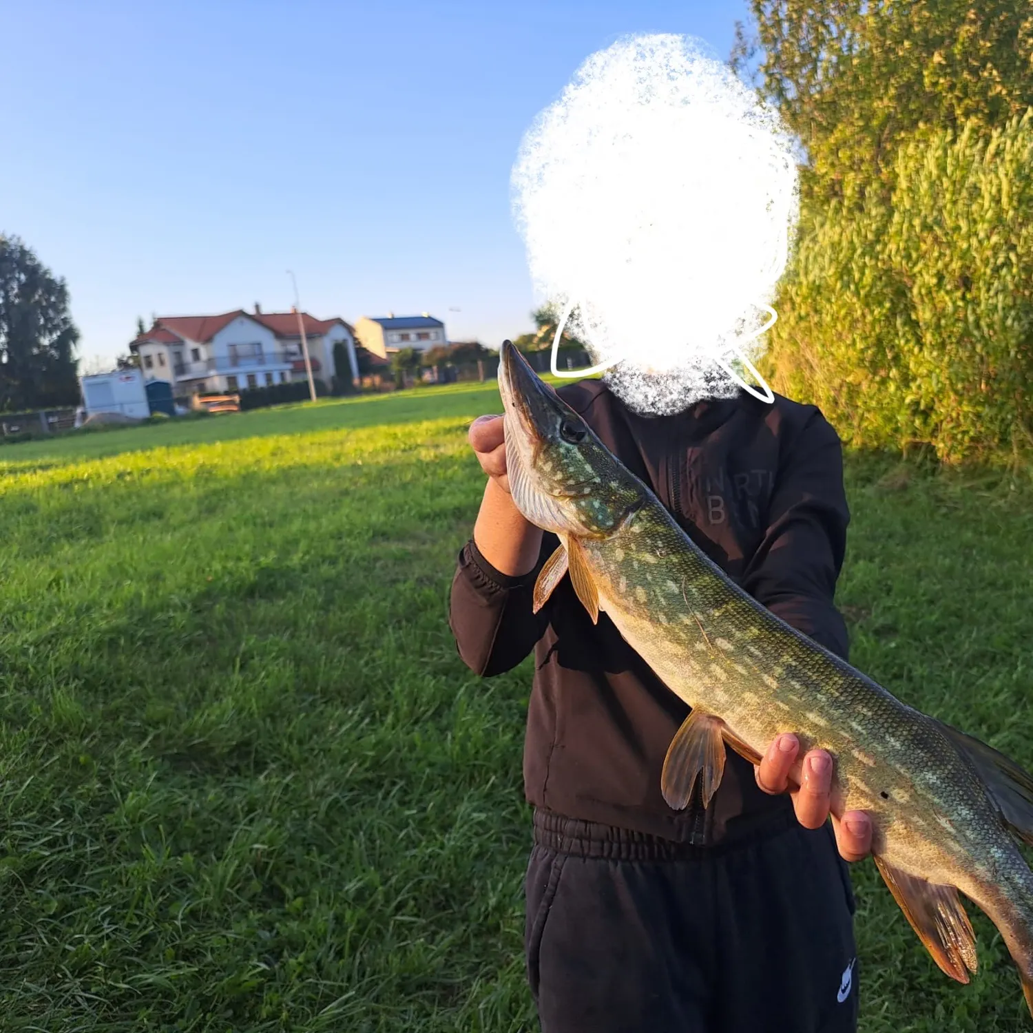 Northern pike caught on Fishbrain