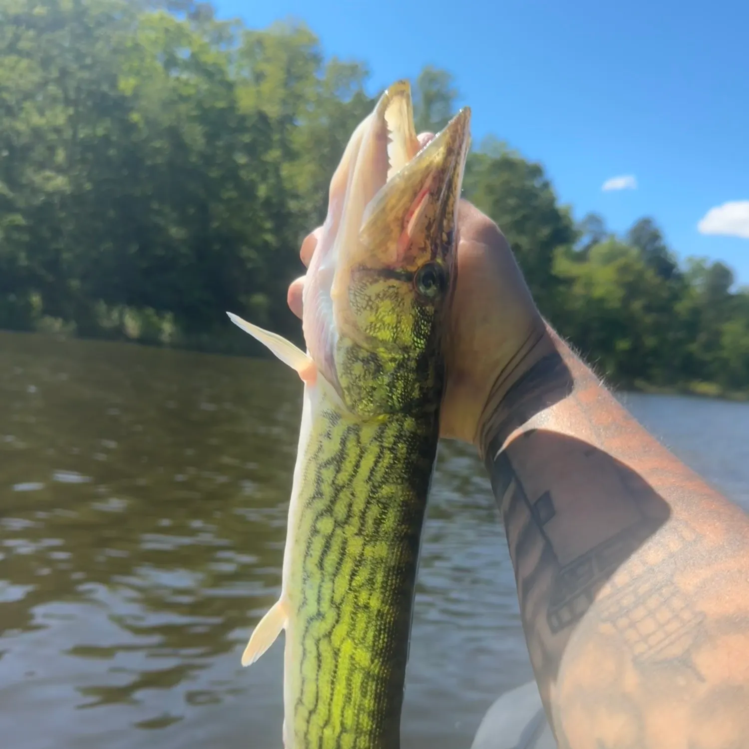catch