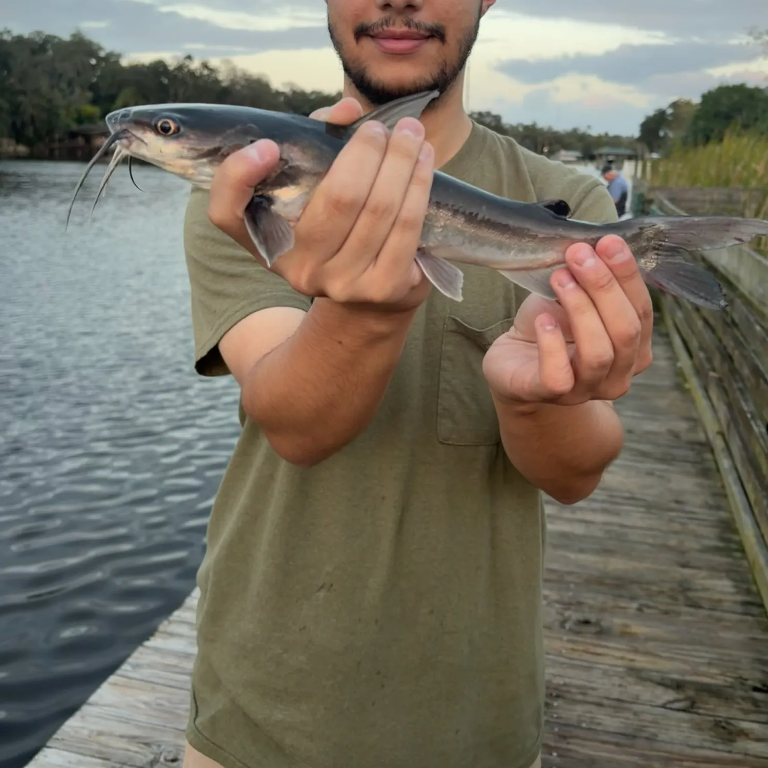 Channel catfish caught on Fishbrain
