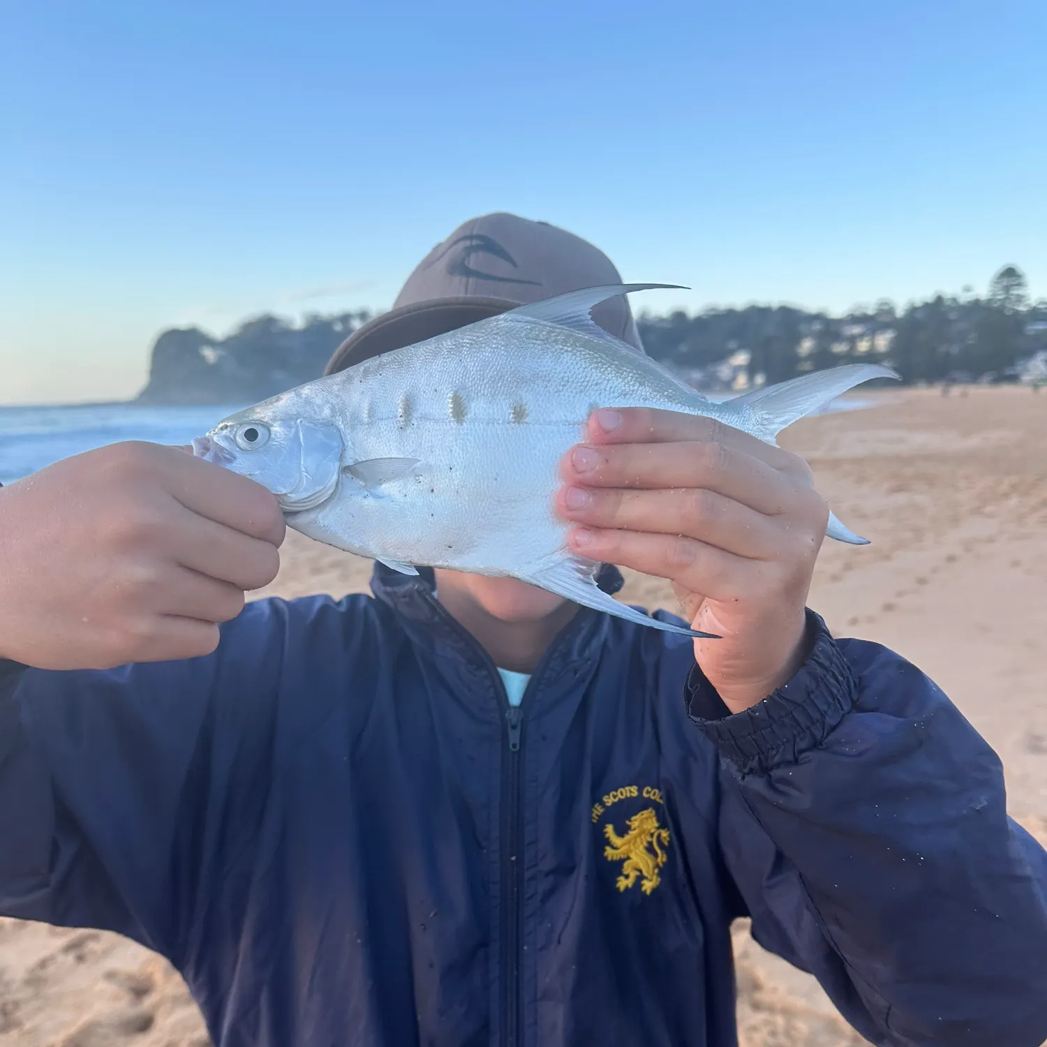 The most recent Swallowtail dart catches on Fishbrain