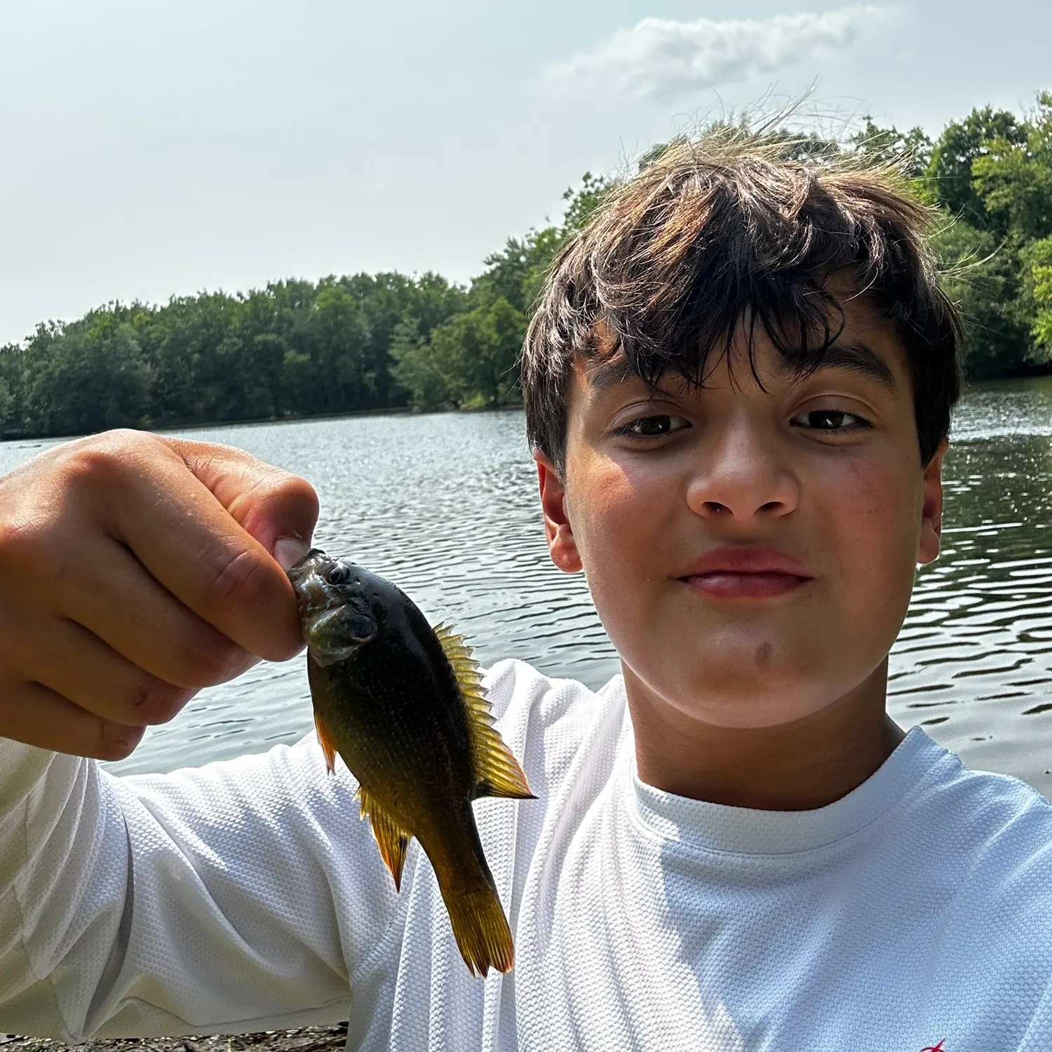 Green sunfish caught on Fishbrain