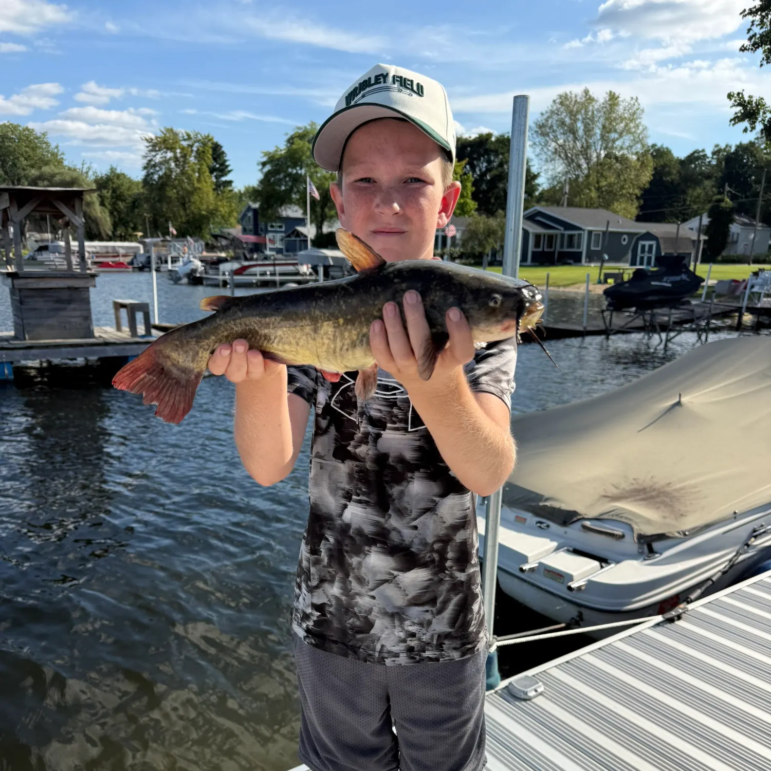 Brown bullhead caught on Fishbrain