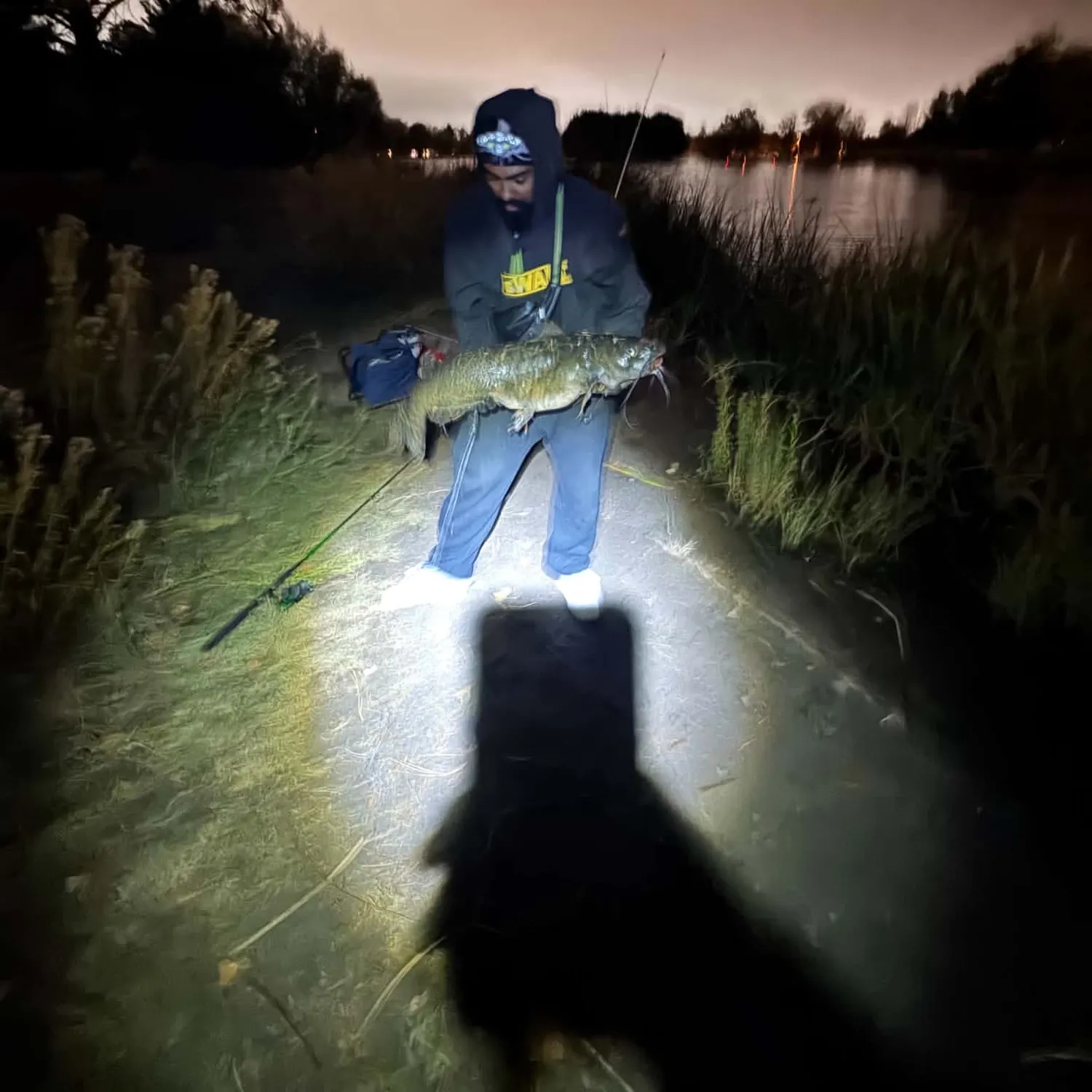 Channel catfish caught on Fishbrain