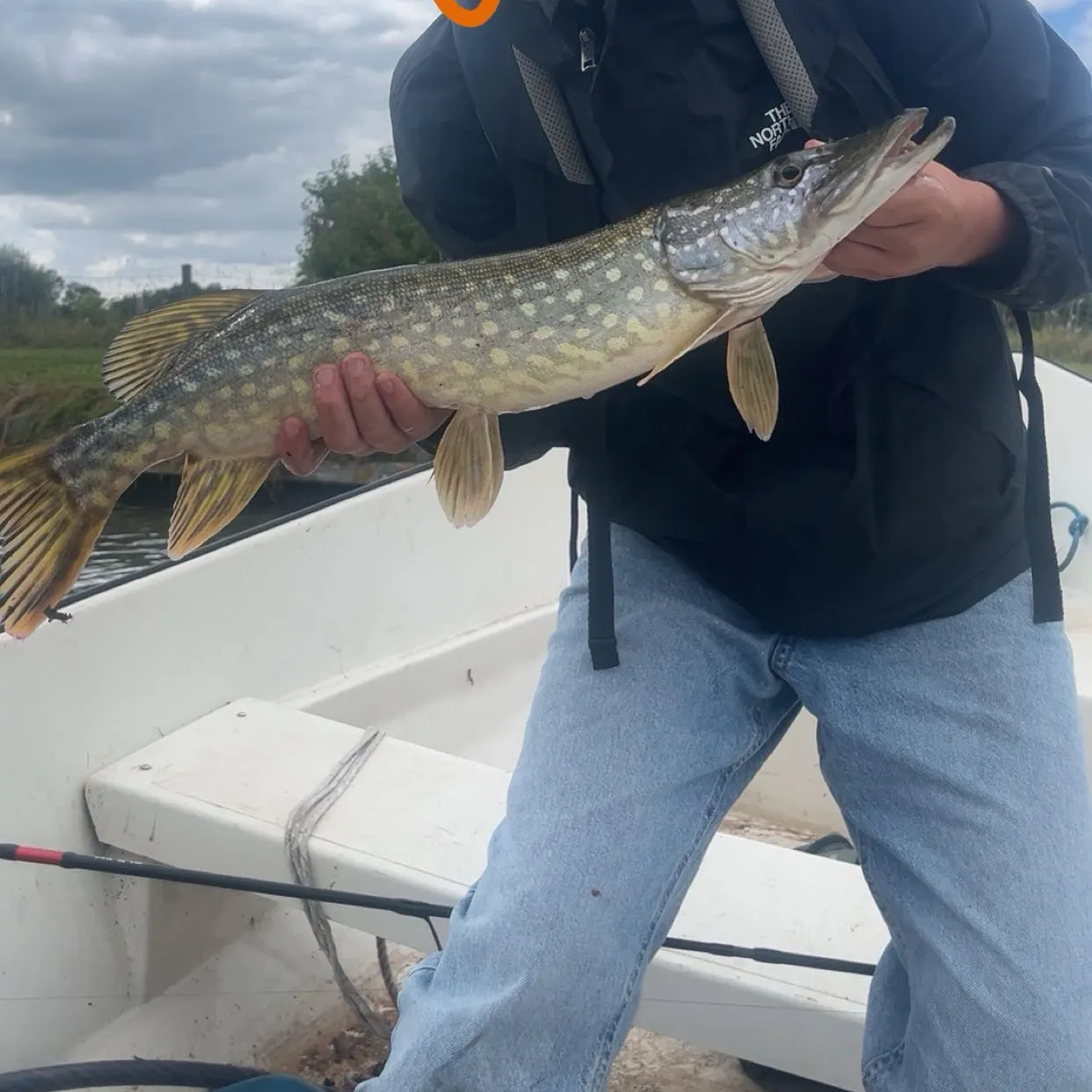 Northern pike caught on Fishbrain