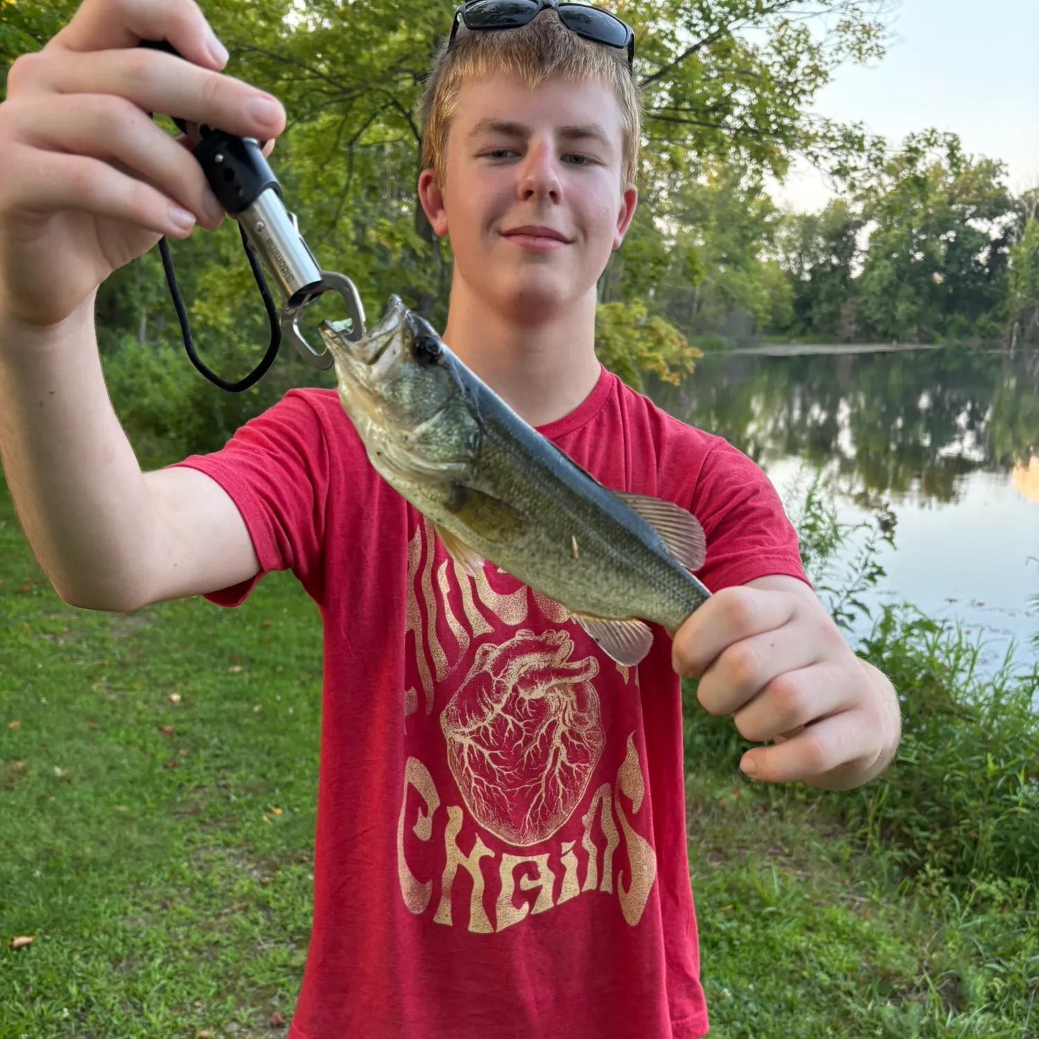 Largemouth bass caught on Fishbrain