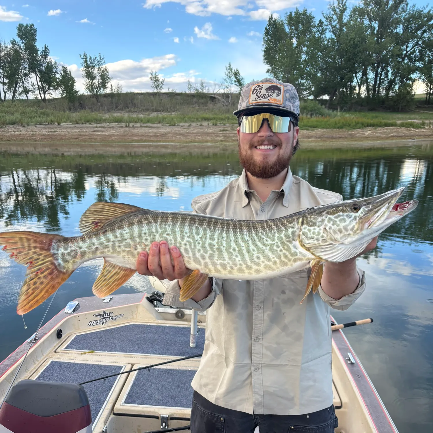 The most recent Tiger muskellunge catches on Fishbrain