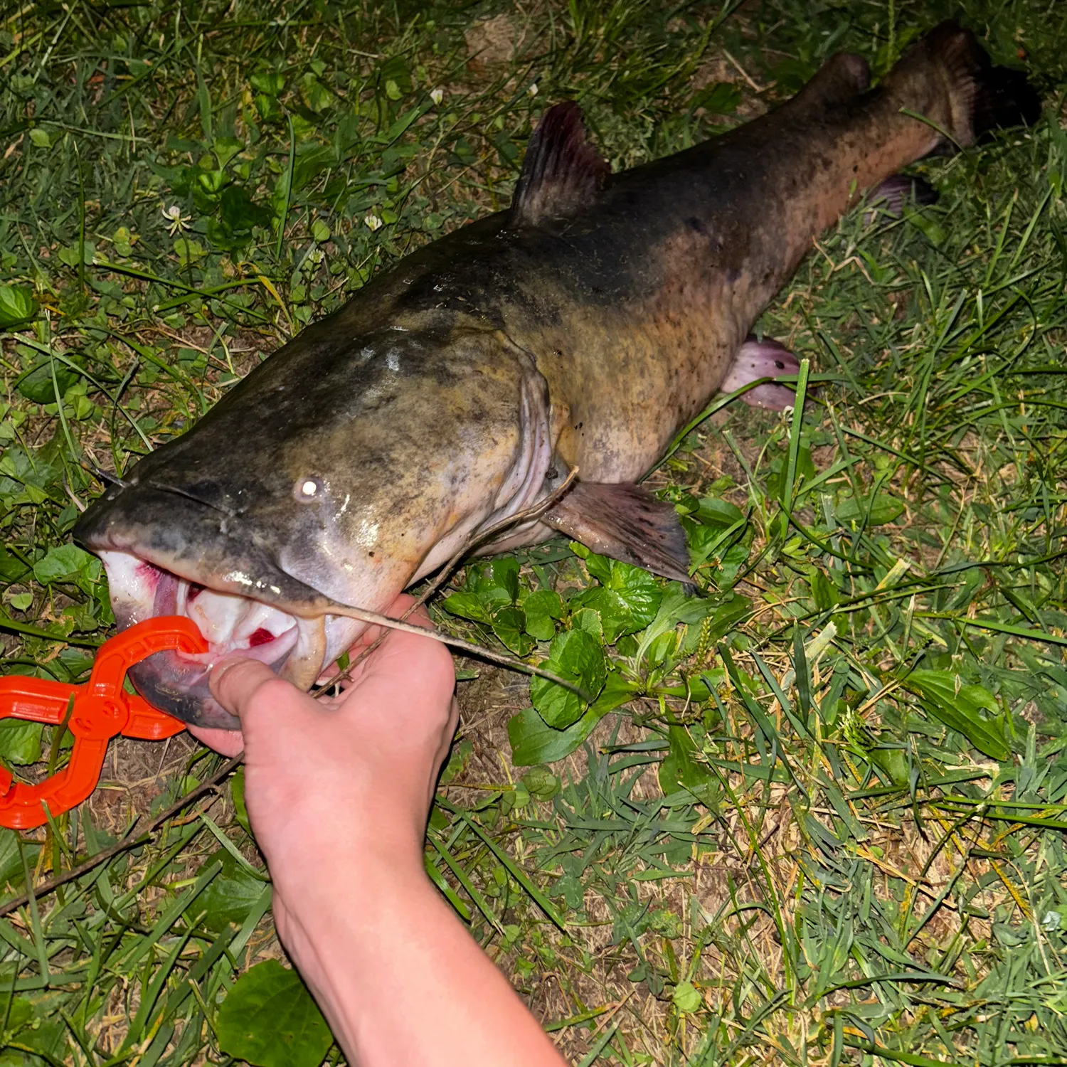 catch