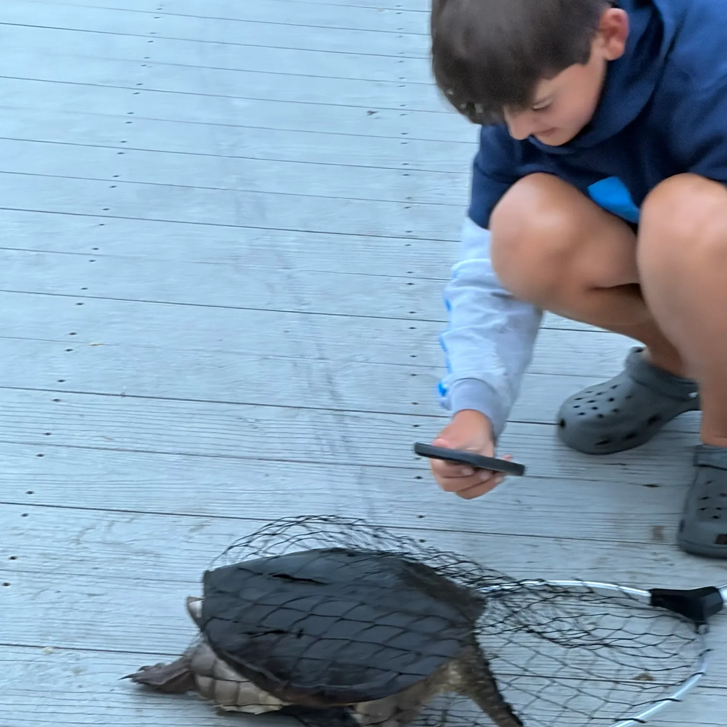 The most recent Palometa catches on Fishbrain