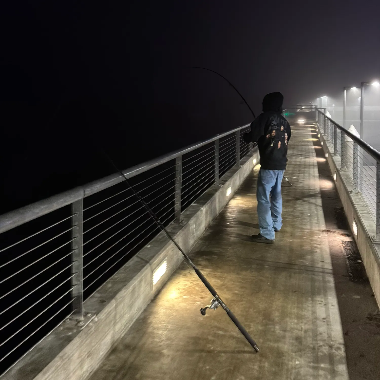 The most recent Diamond stingray catches on Fishbrain