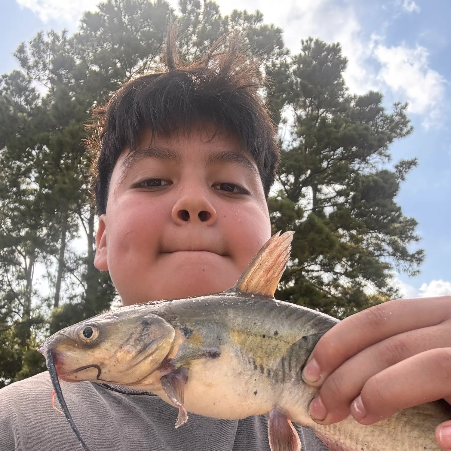 Channel catfish caught on Fishbrain