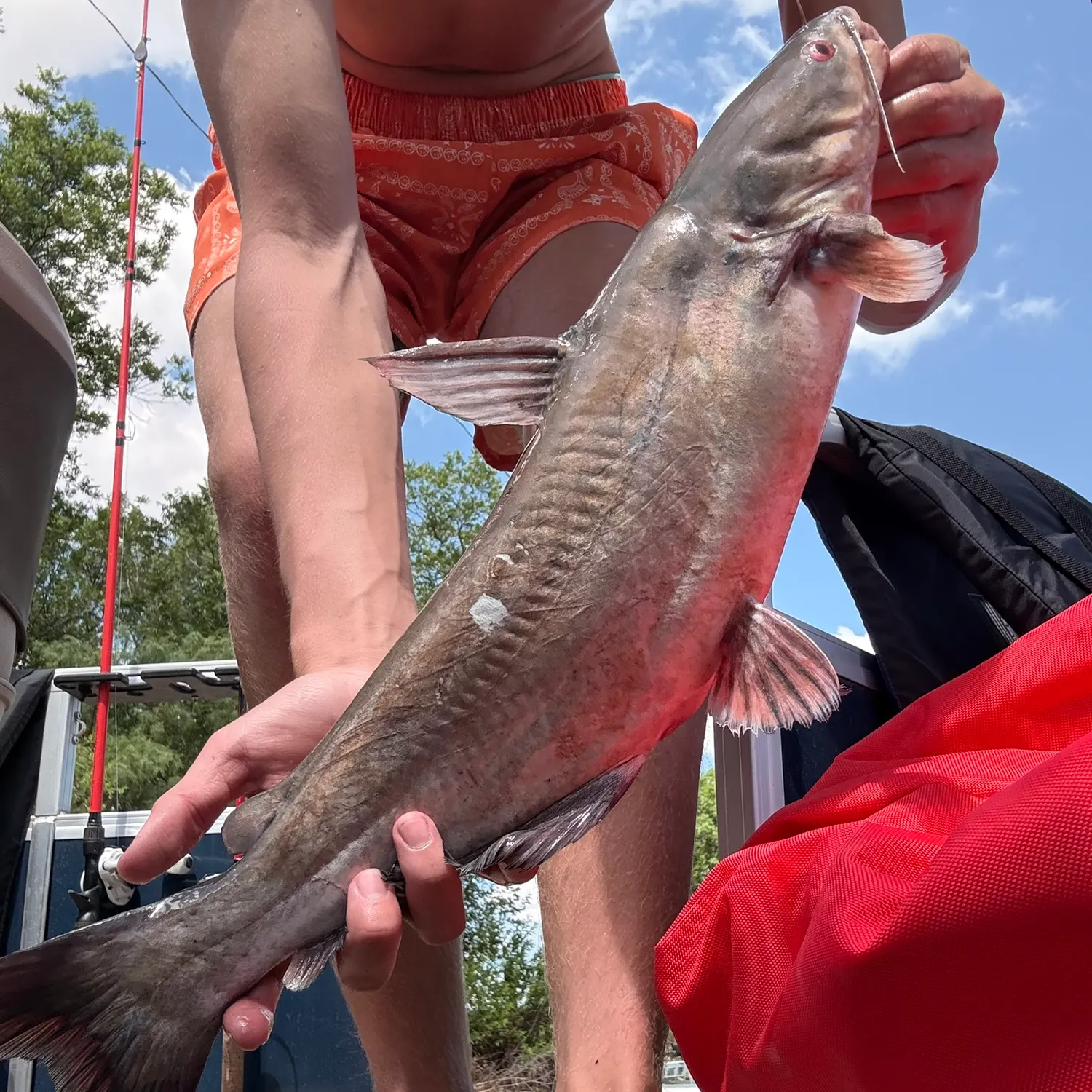 catch