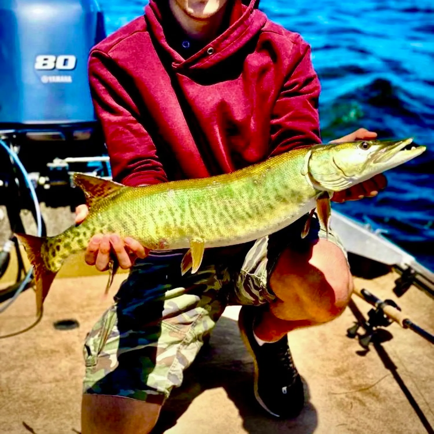 The most recent Muskellunge catches on Fishbrain