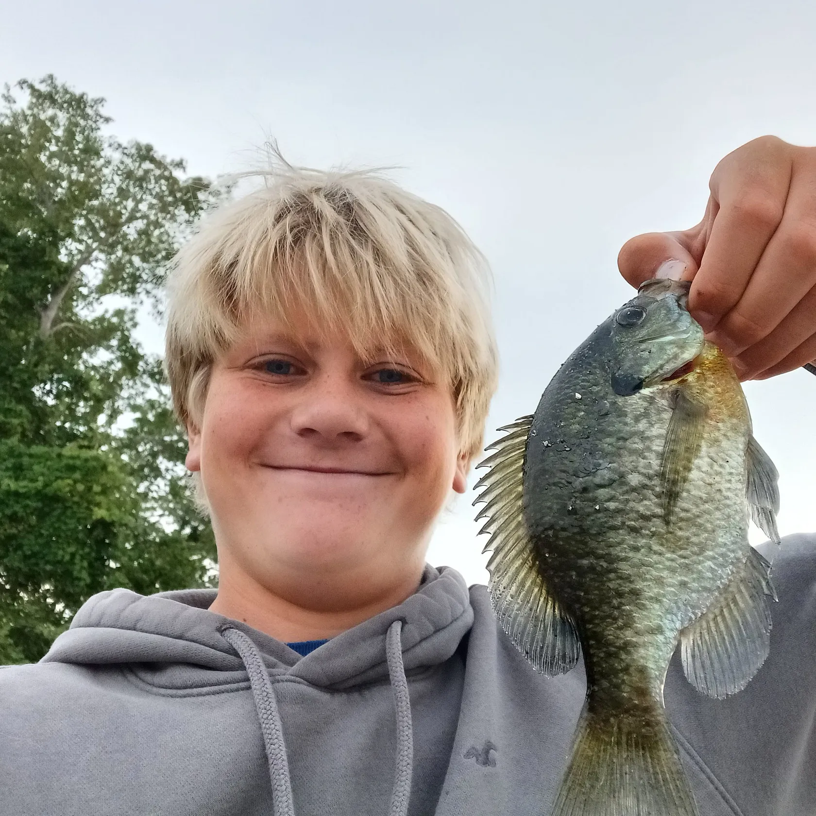 Bluegill caught on Fishbrain