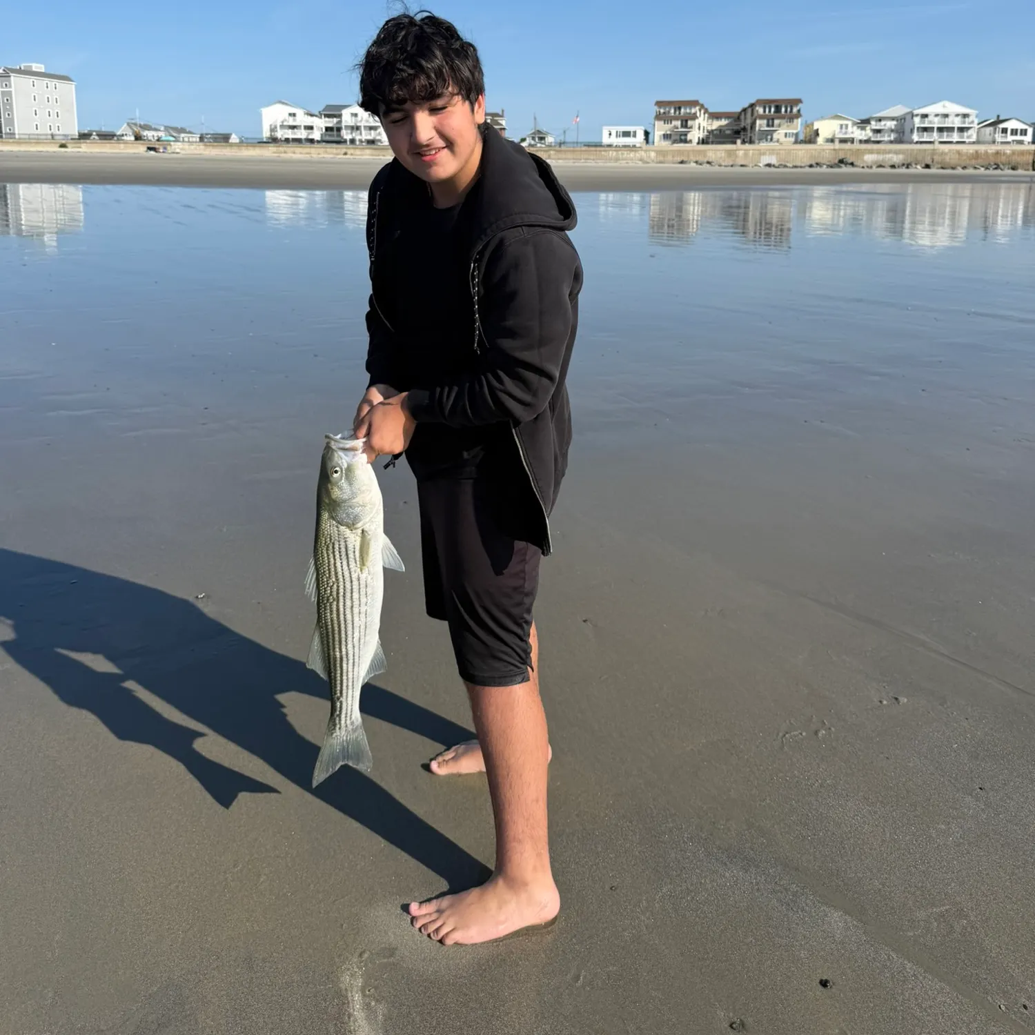 Striped bass caught on Fishbrain