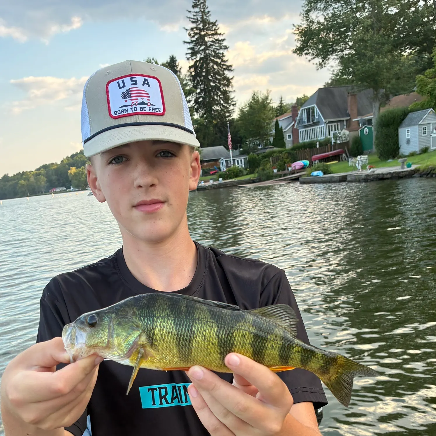 Yellow perch caught on Fishbrain