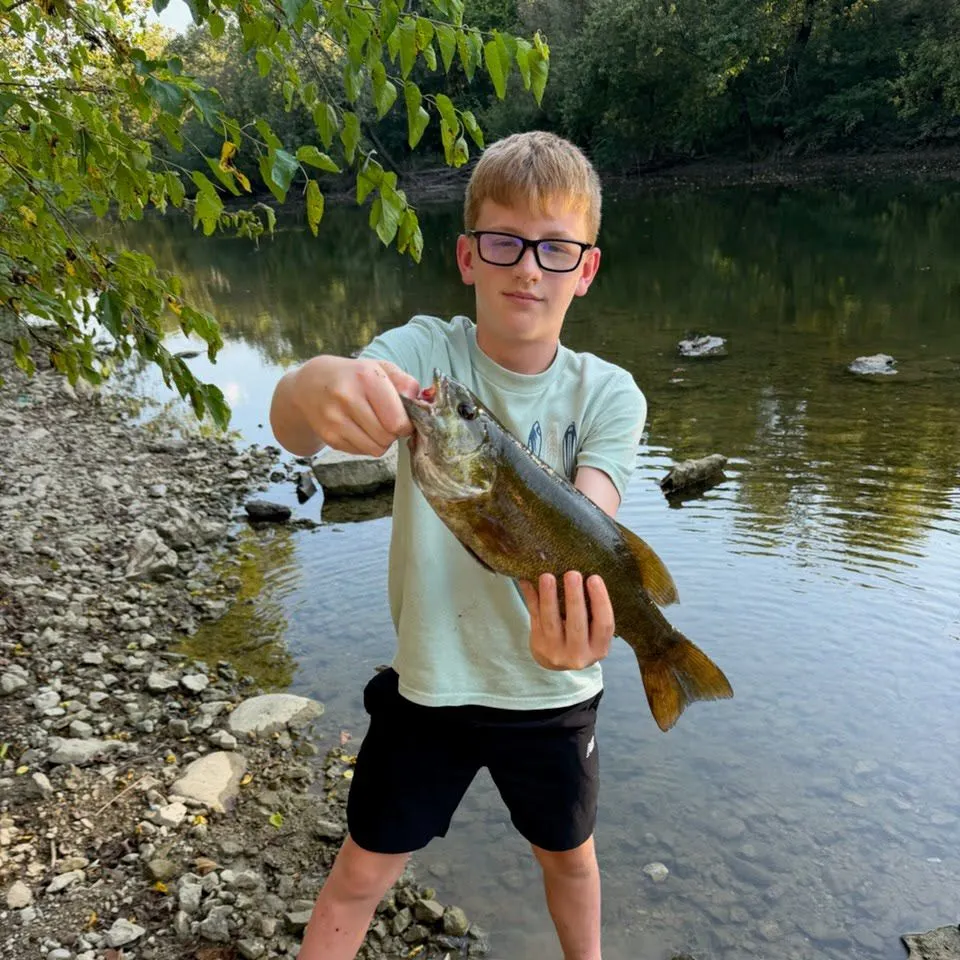 Smallmouth bass caught on Fishbrain