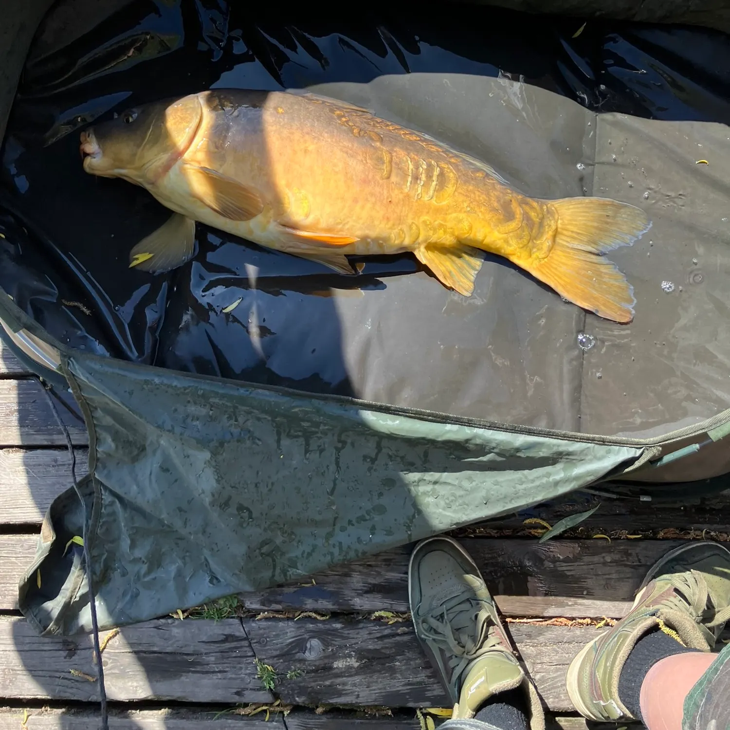 catch