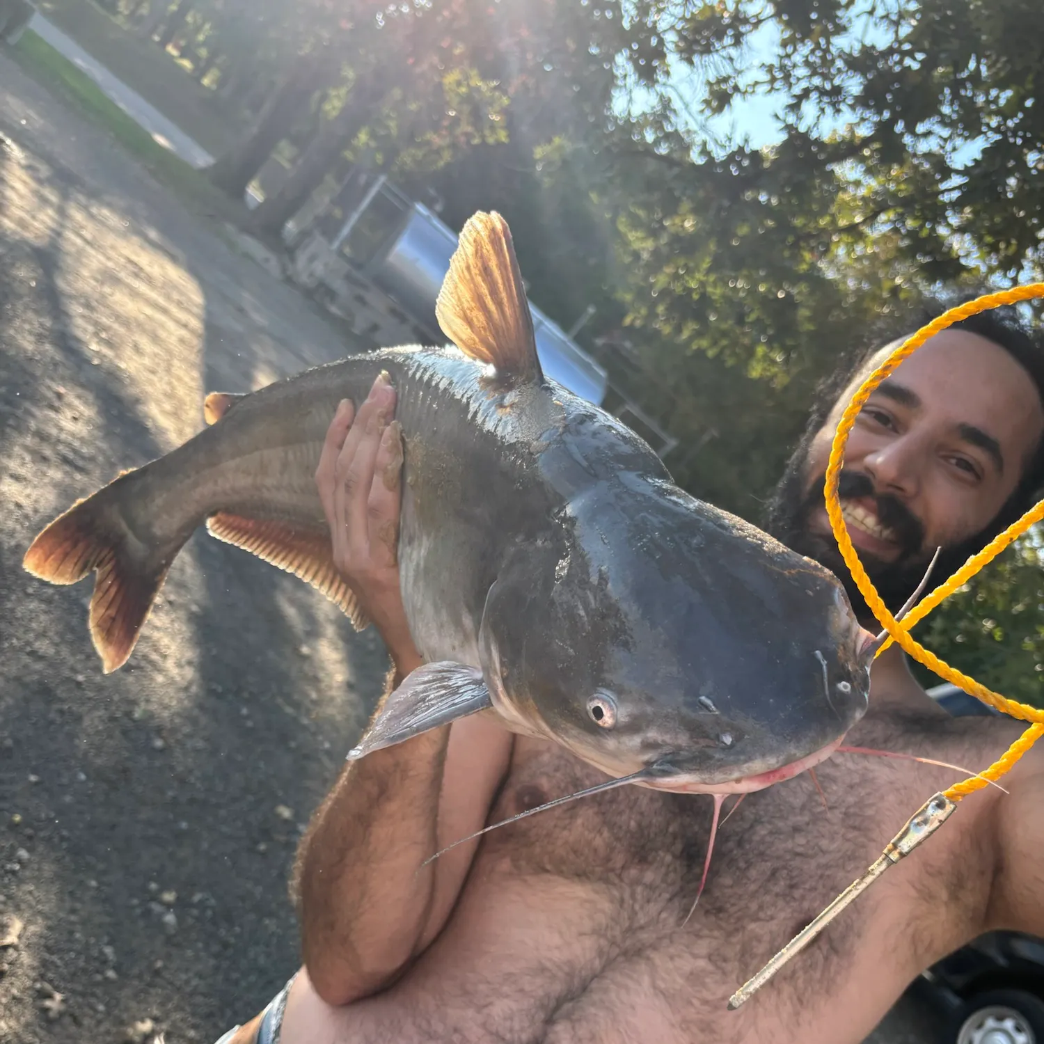Blue catfish caught on Fishbrain
