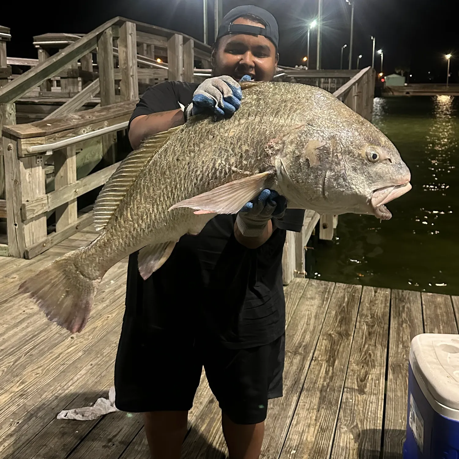 Black drum caught on Fishbrain