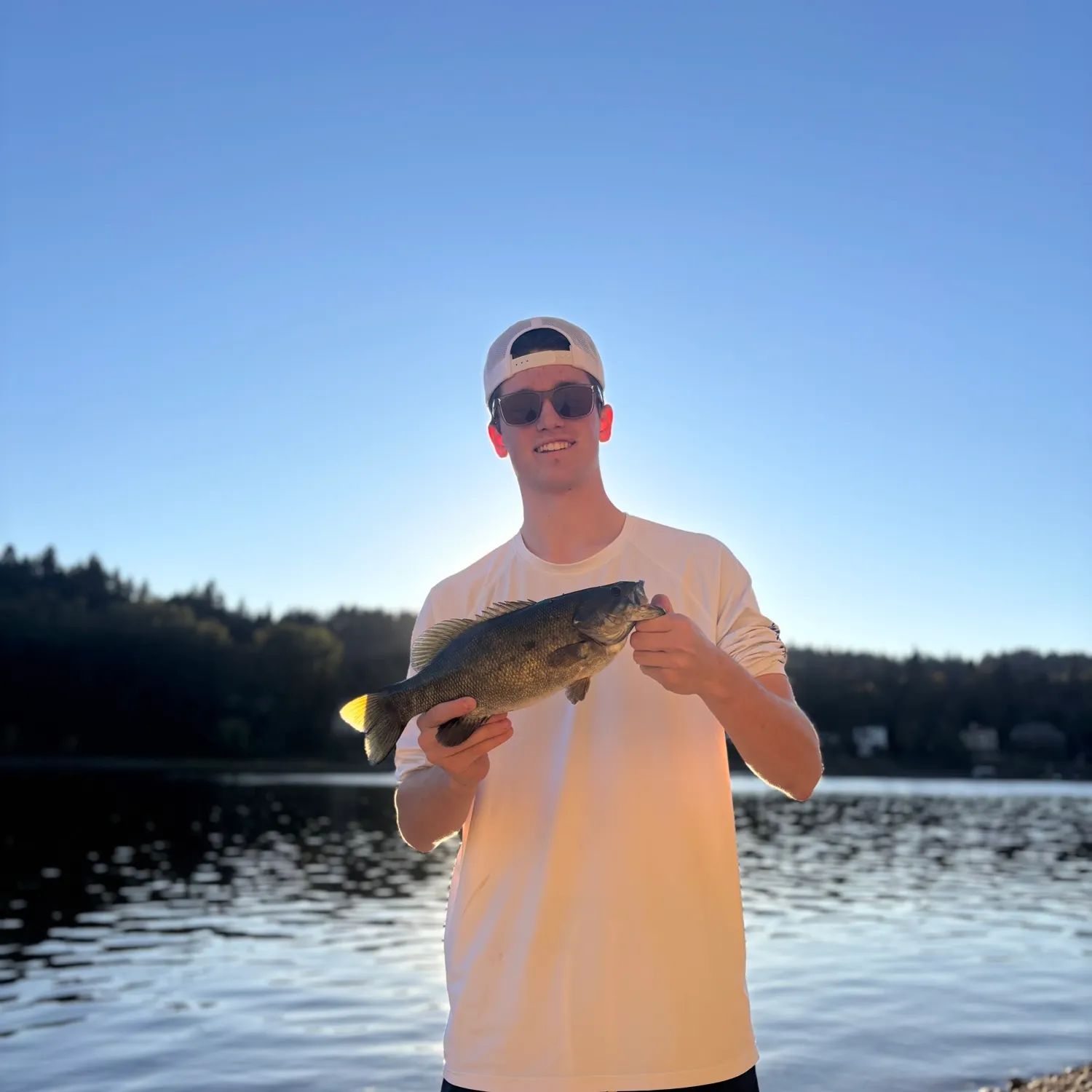 Smallmouth bass caught on Fishbrain