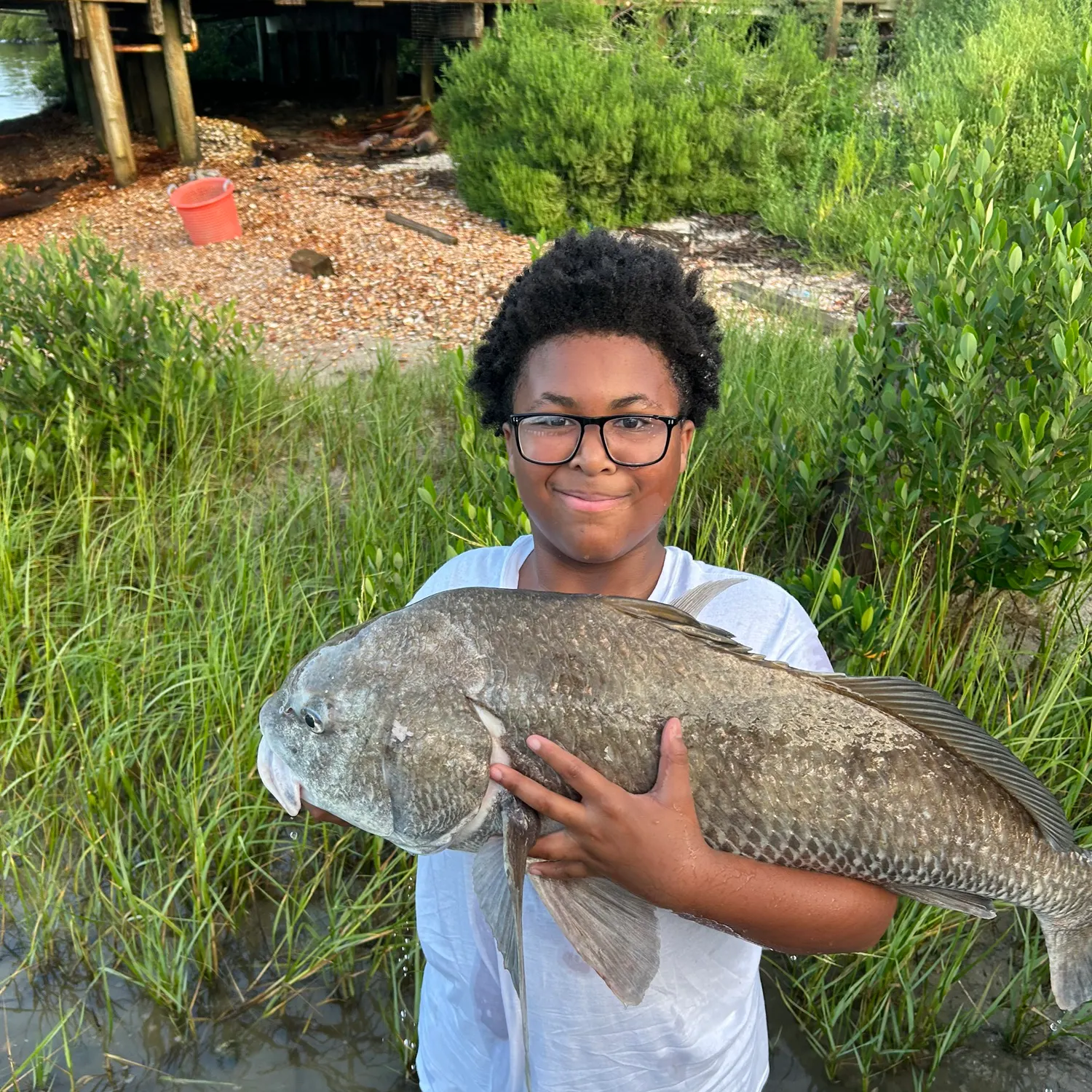 Black drum caught on Fishbrain