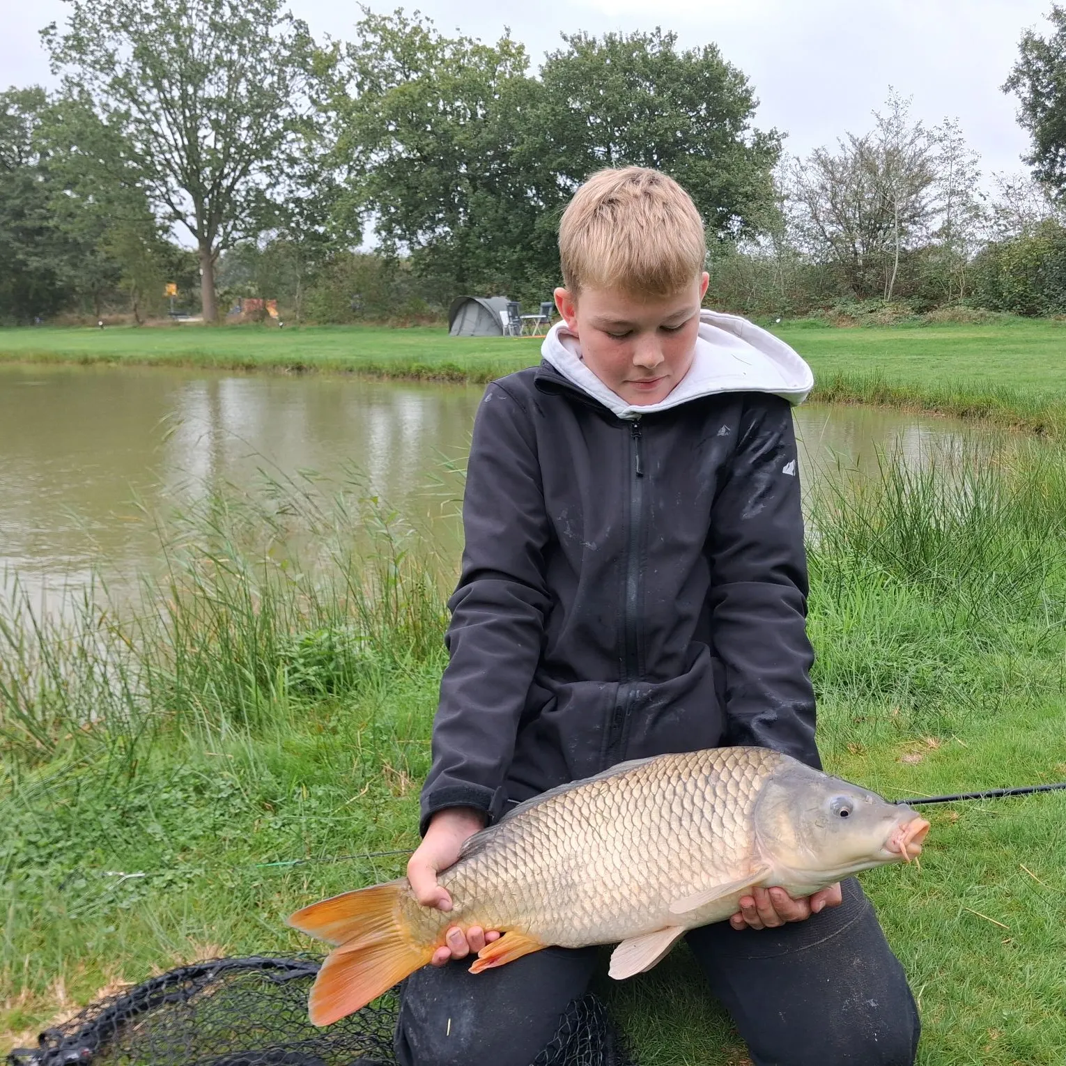 Common carp caught on Fishbrain