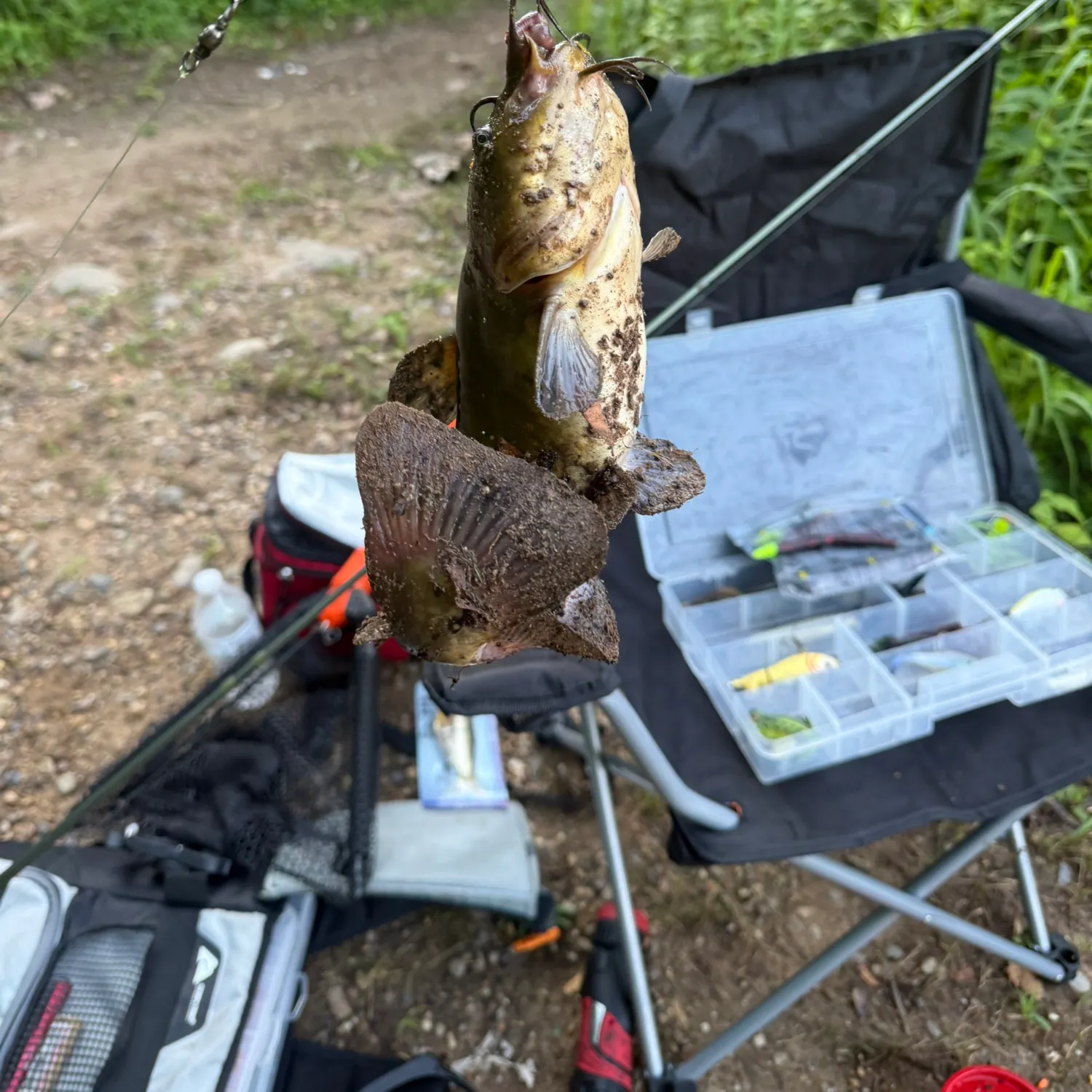 catch