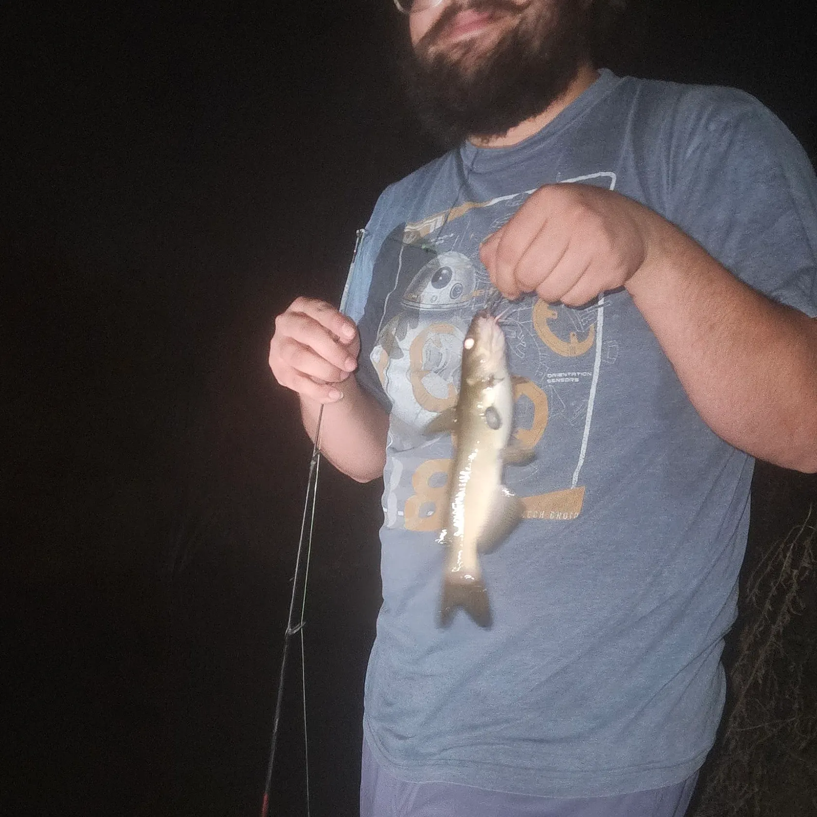 Channel catfish caught on Fishbrain